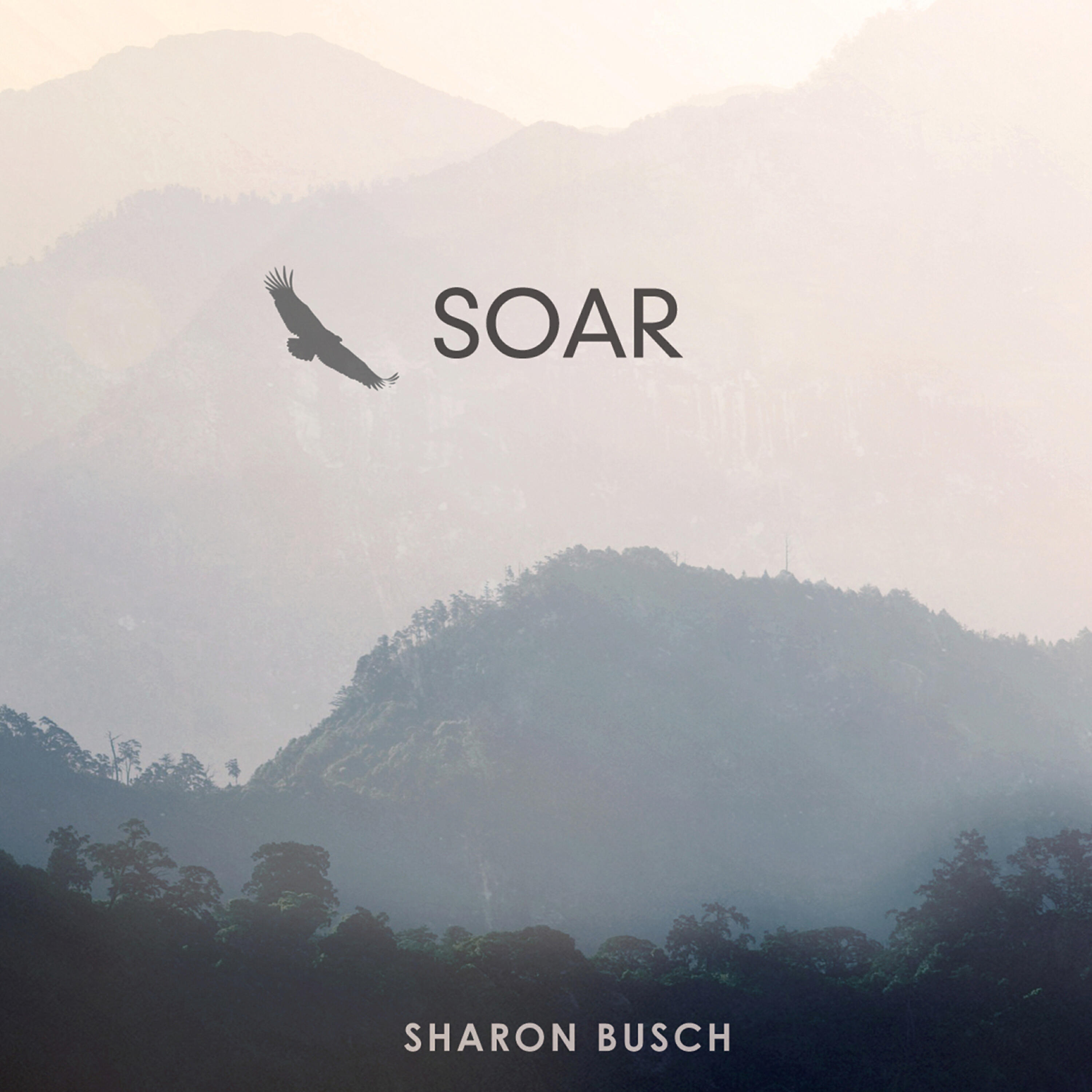 Постер альбома Soar