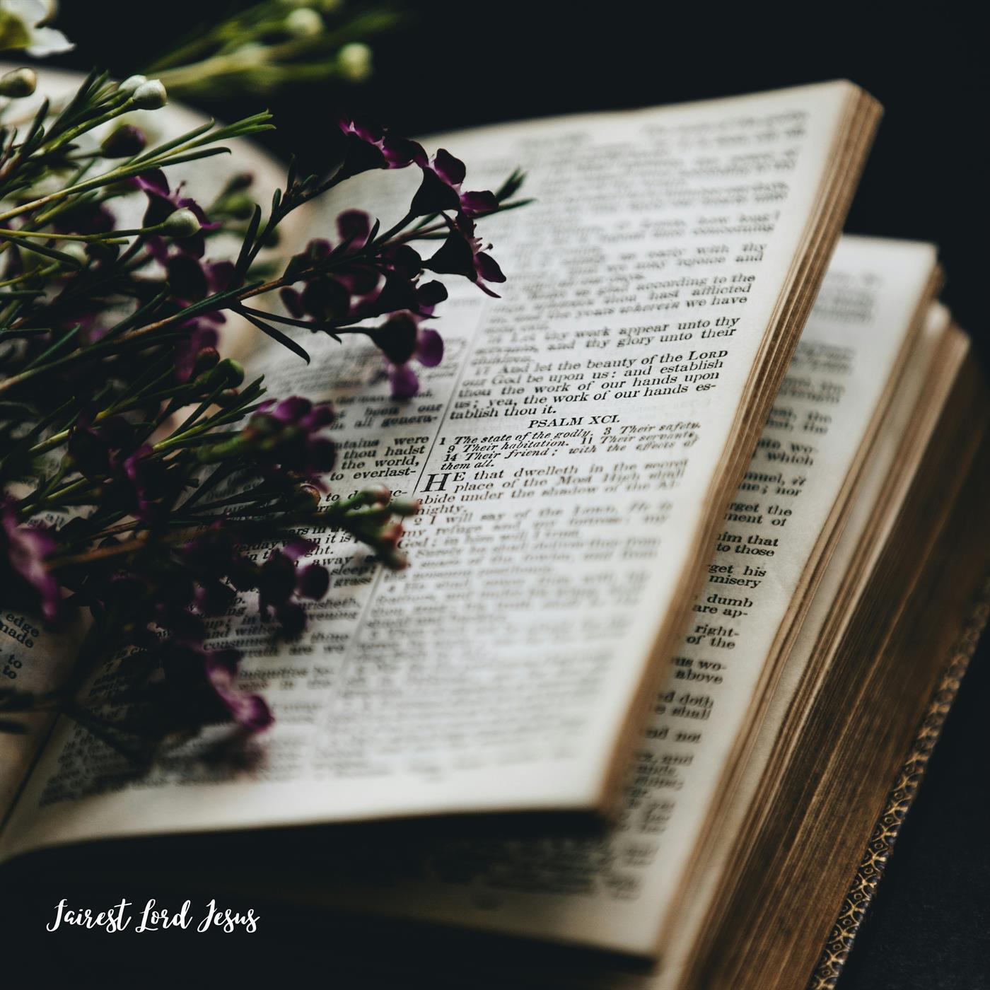 Релиз Fairest Lord Jesus