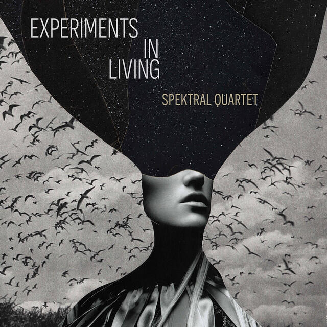 Релиз Experiments in Living
