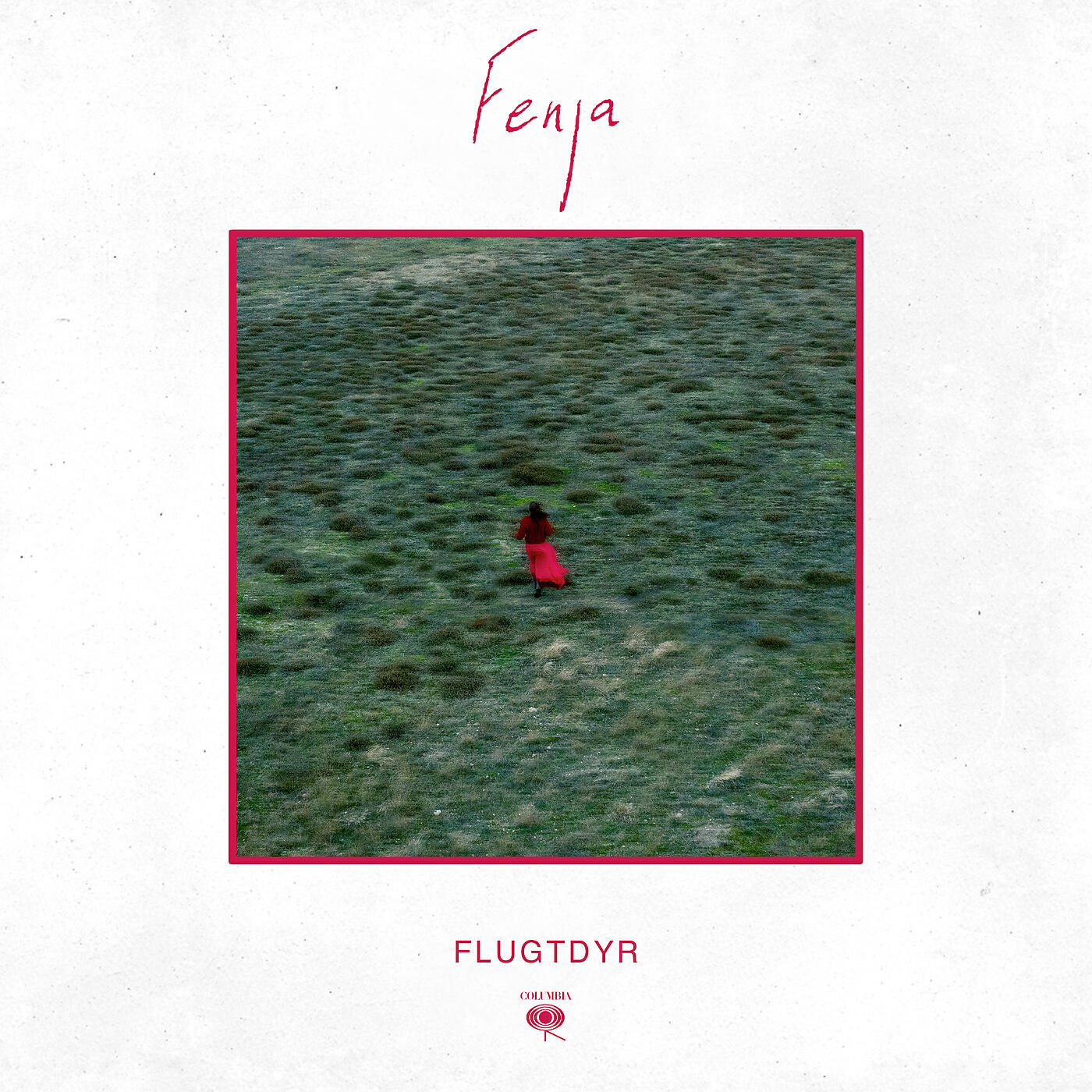 Постер альбома Flugtdyr