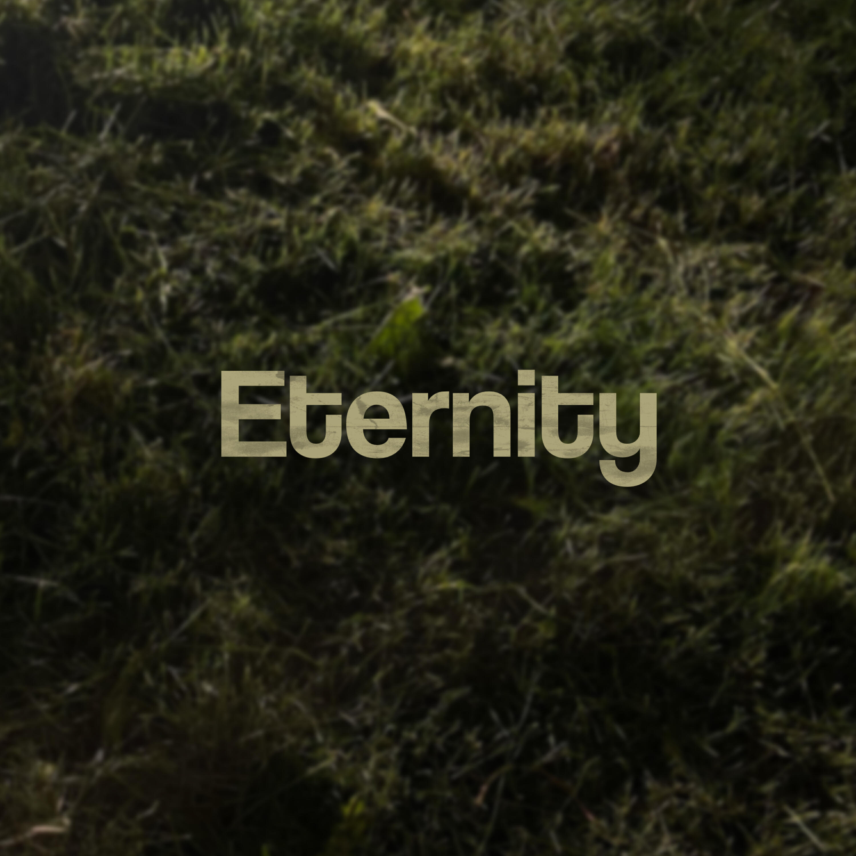 Релиз Eternity