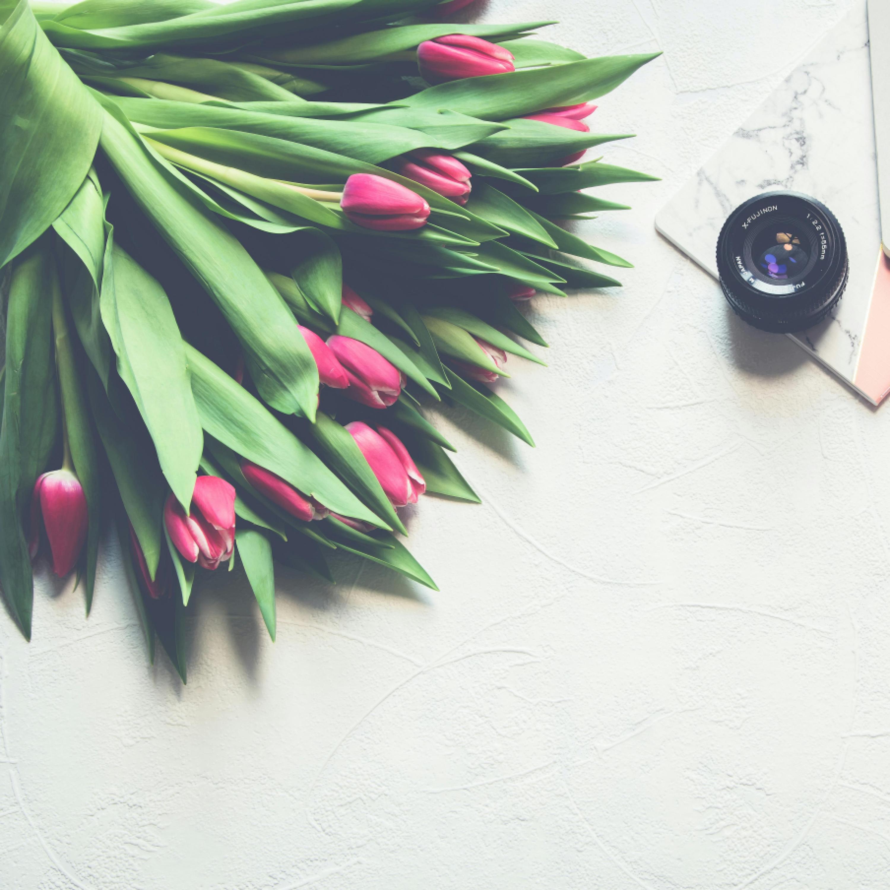 Релиз 新しい彼と君