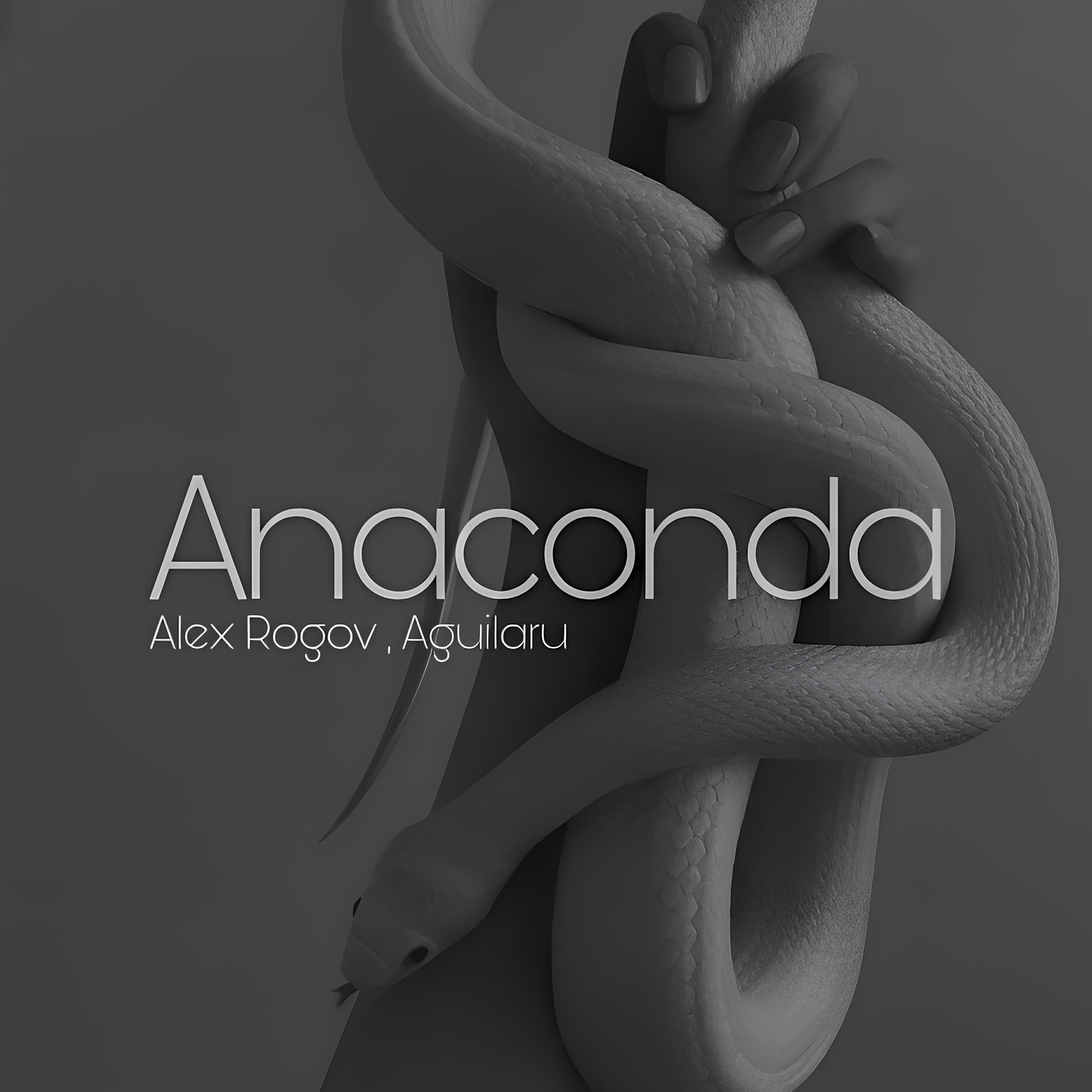 Релиз Anaconda