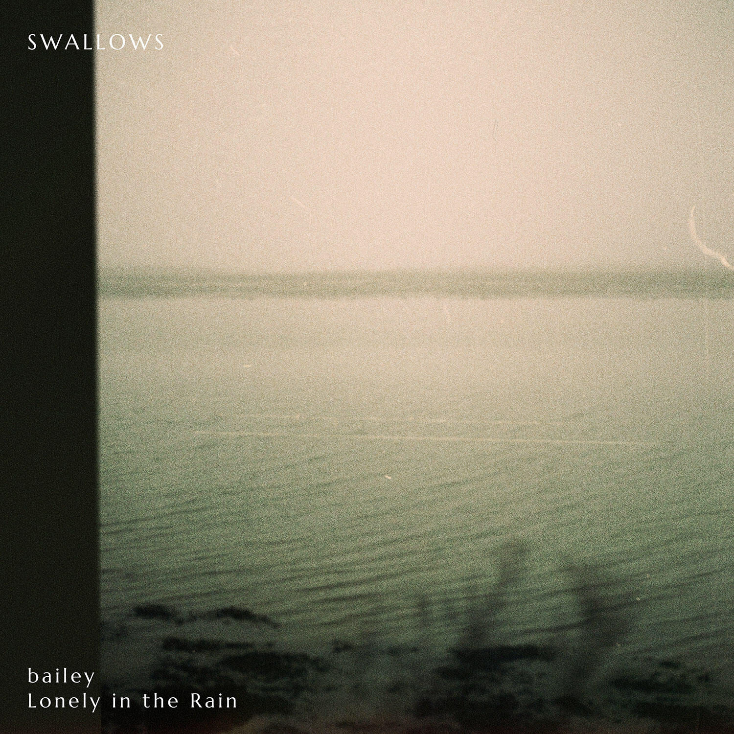 Релиз Swallows