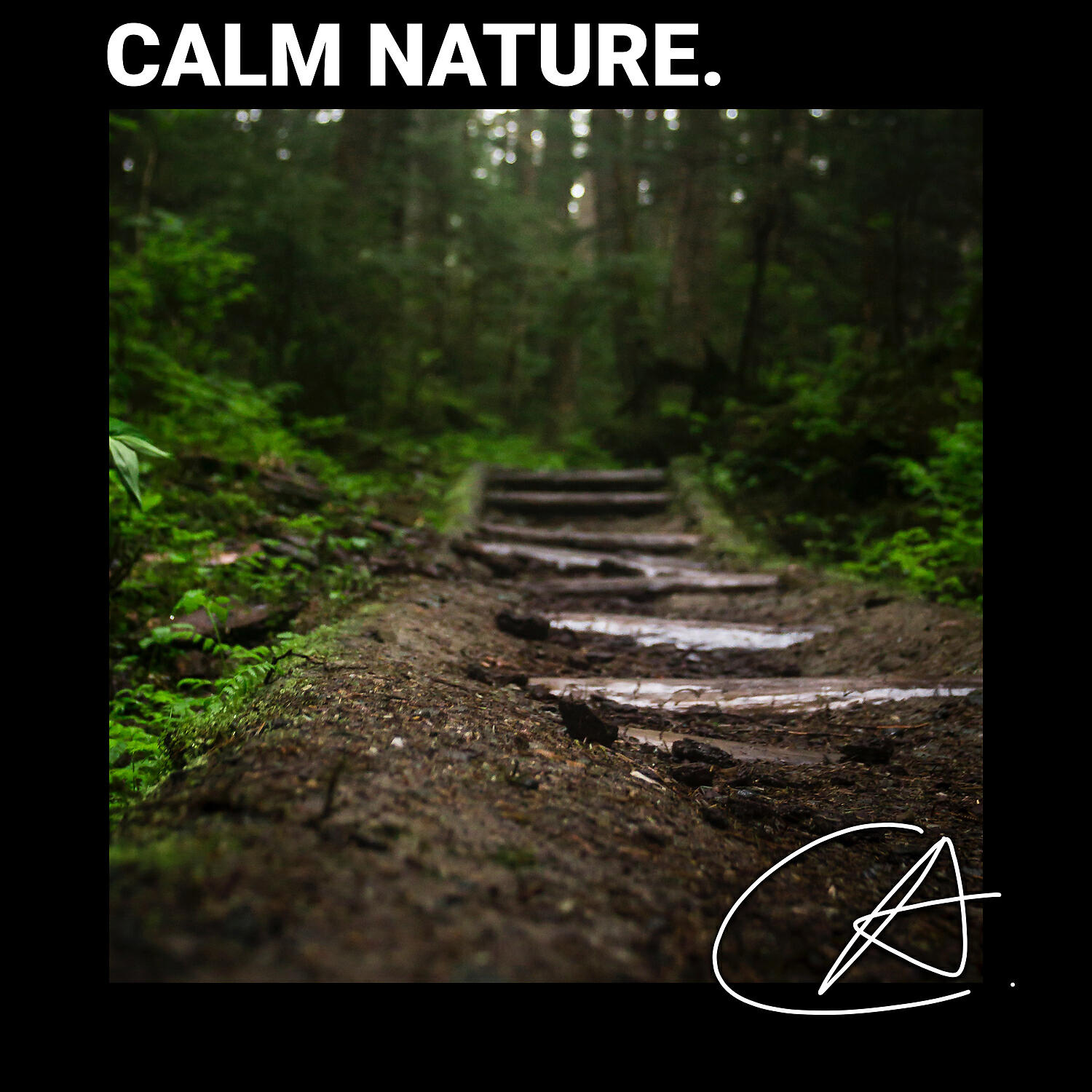 Spa, Rain Sounds, Nature Sounds - ASMR Loopable Sounds with no fade of Crickets helps your baby to relax