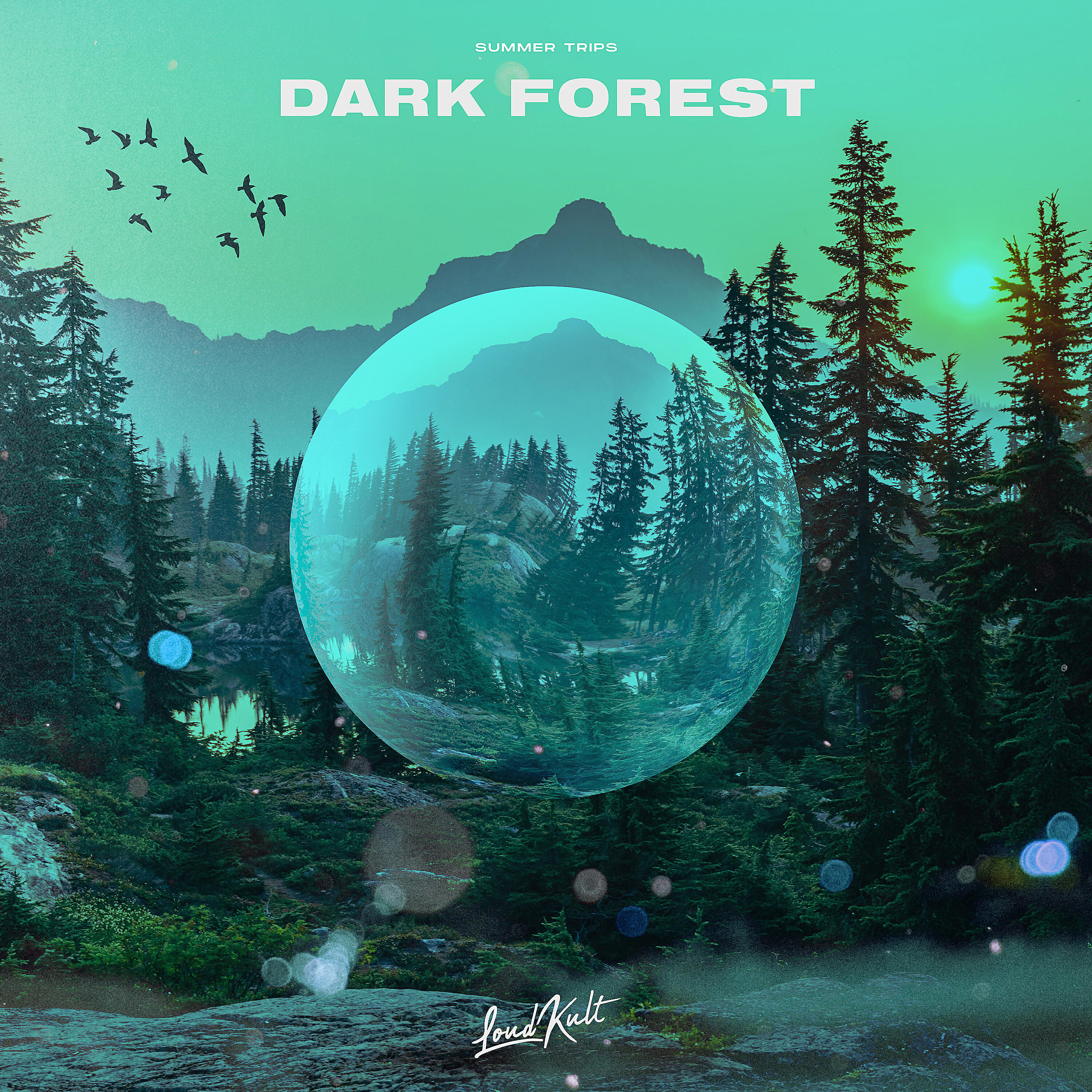 Постер альбома Dark Forest