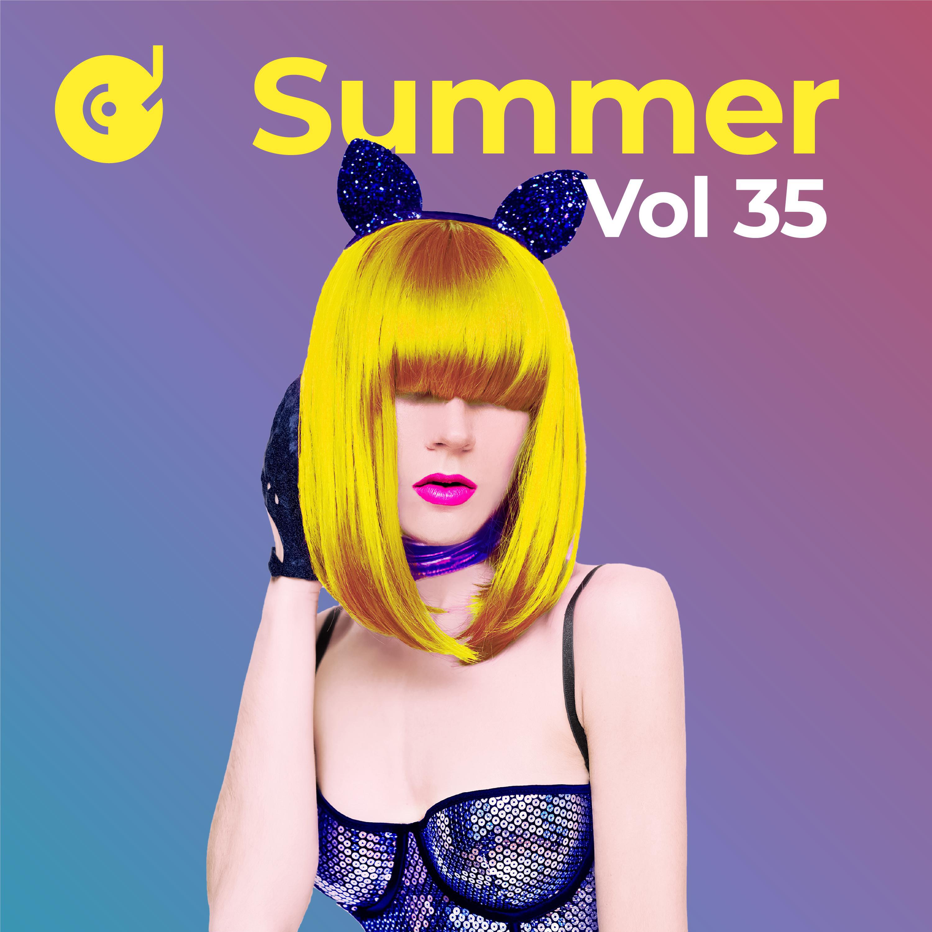 Релиз Summer Hits, Vol. 35