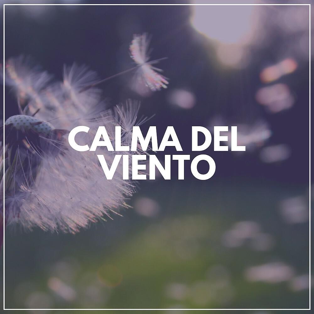 Релиз Calma del Viento