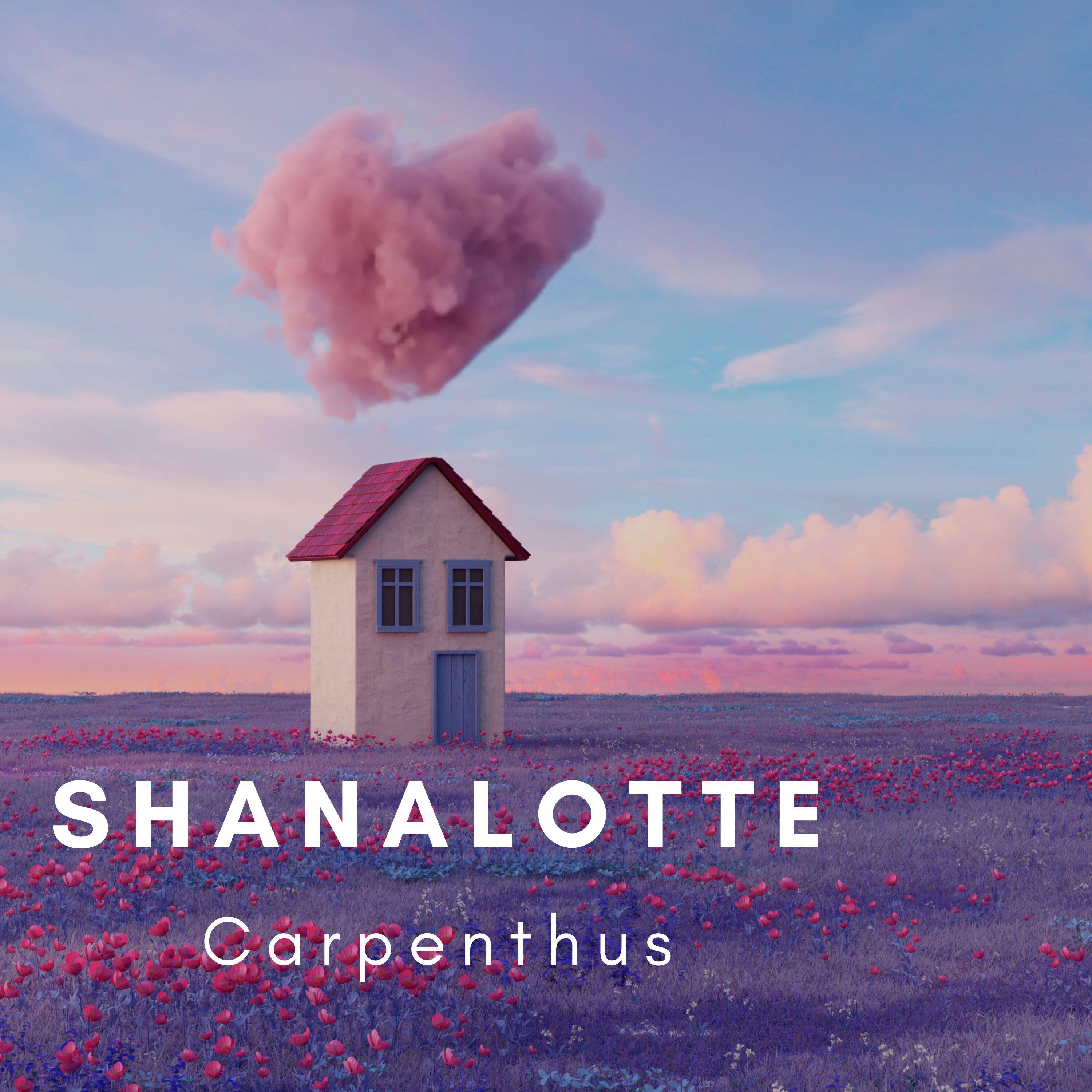 Релиз Shanalotte