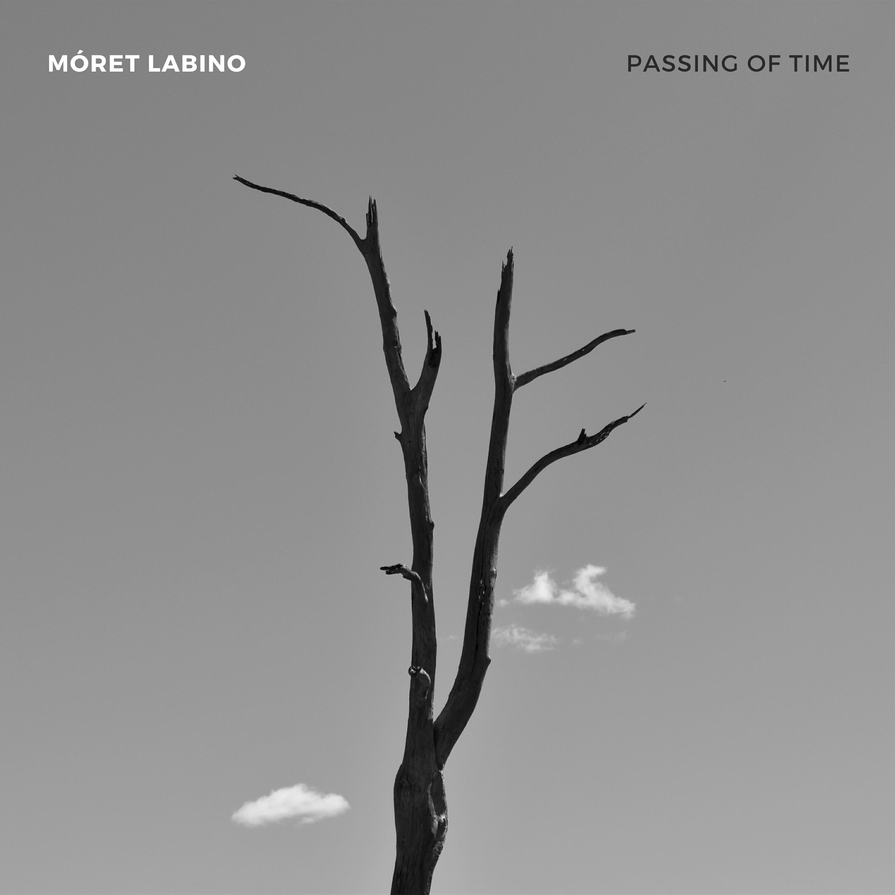 Релиз Passing Of Time