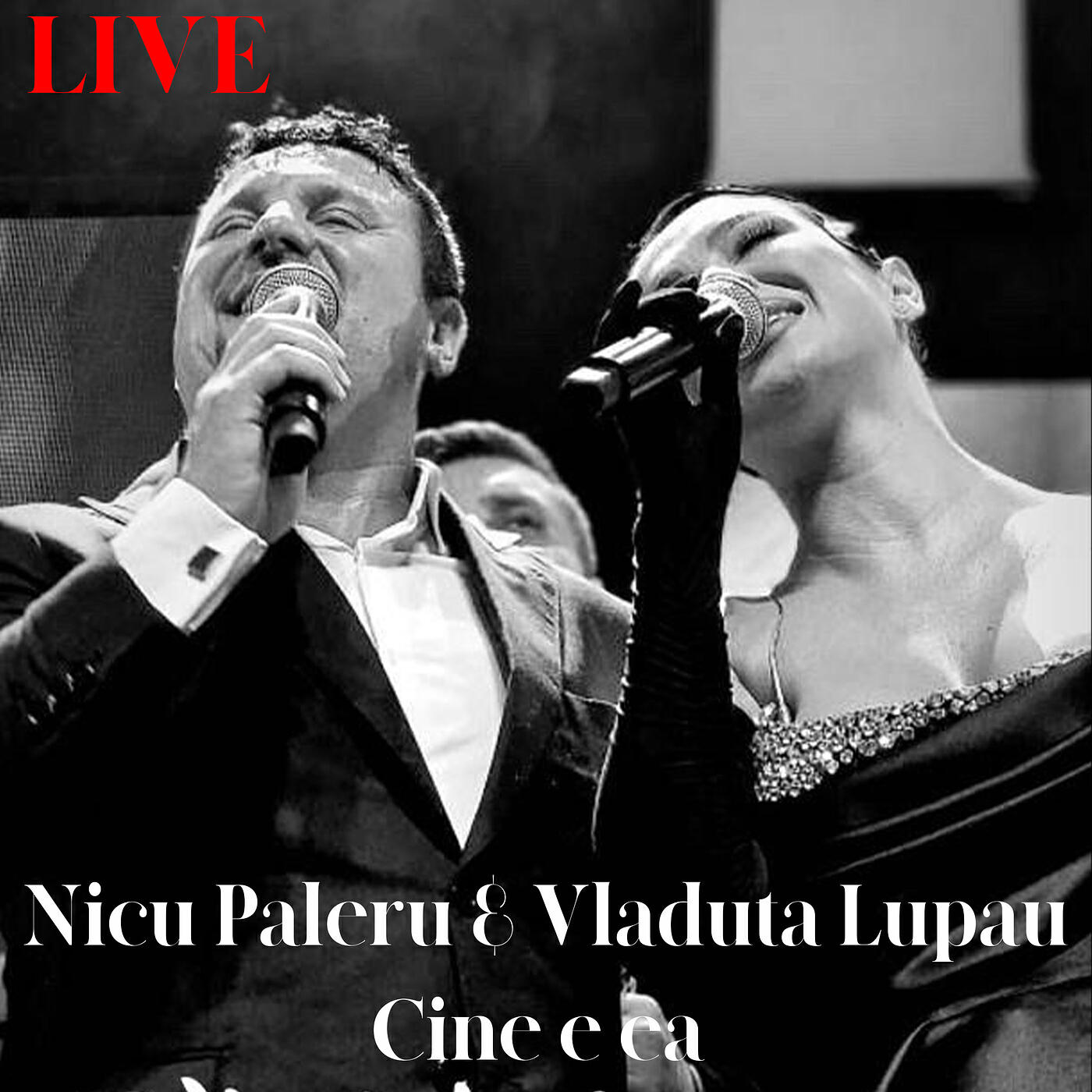 Скачать песню Nicu Paleru, Vladuta Lupau - Cine E Ea (Live) бесплатно в MP3 для Android и iOS