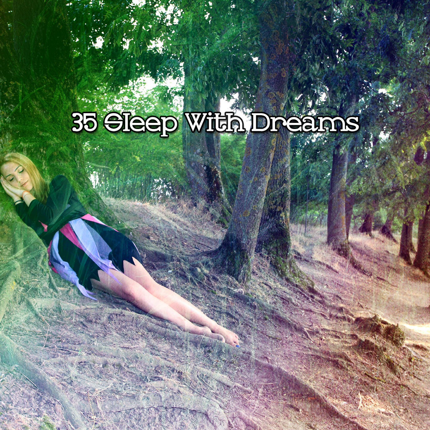Релиз 35 Sleep With Dreams