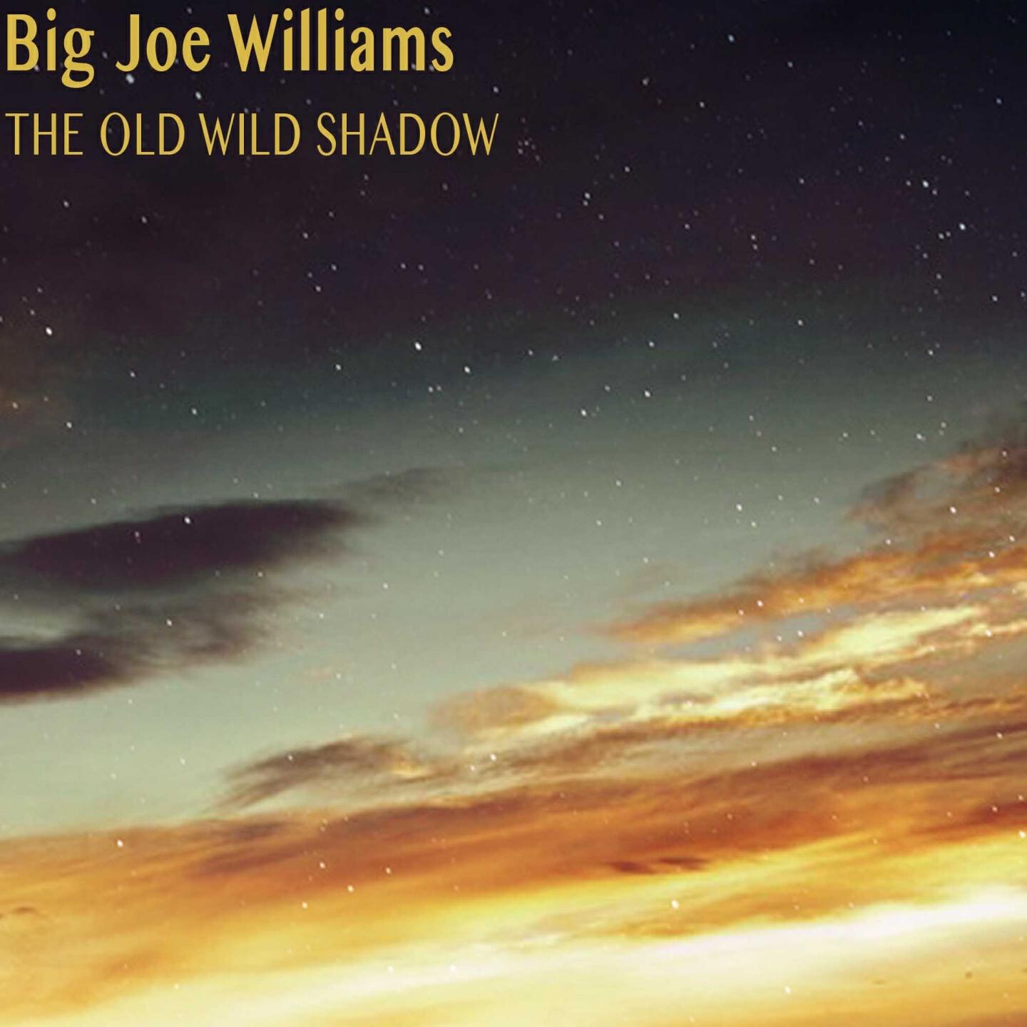 Релиз The Old Wild Shadow