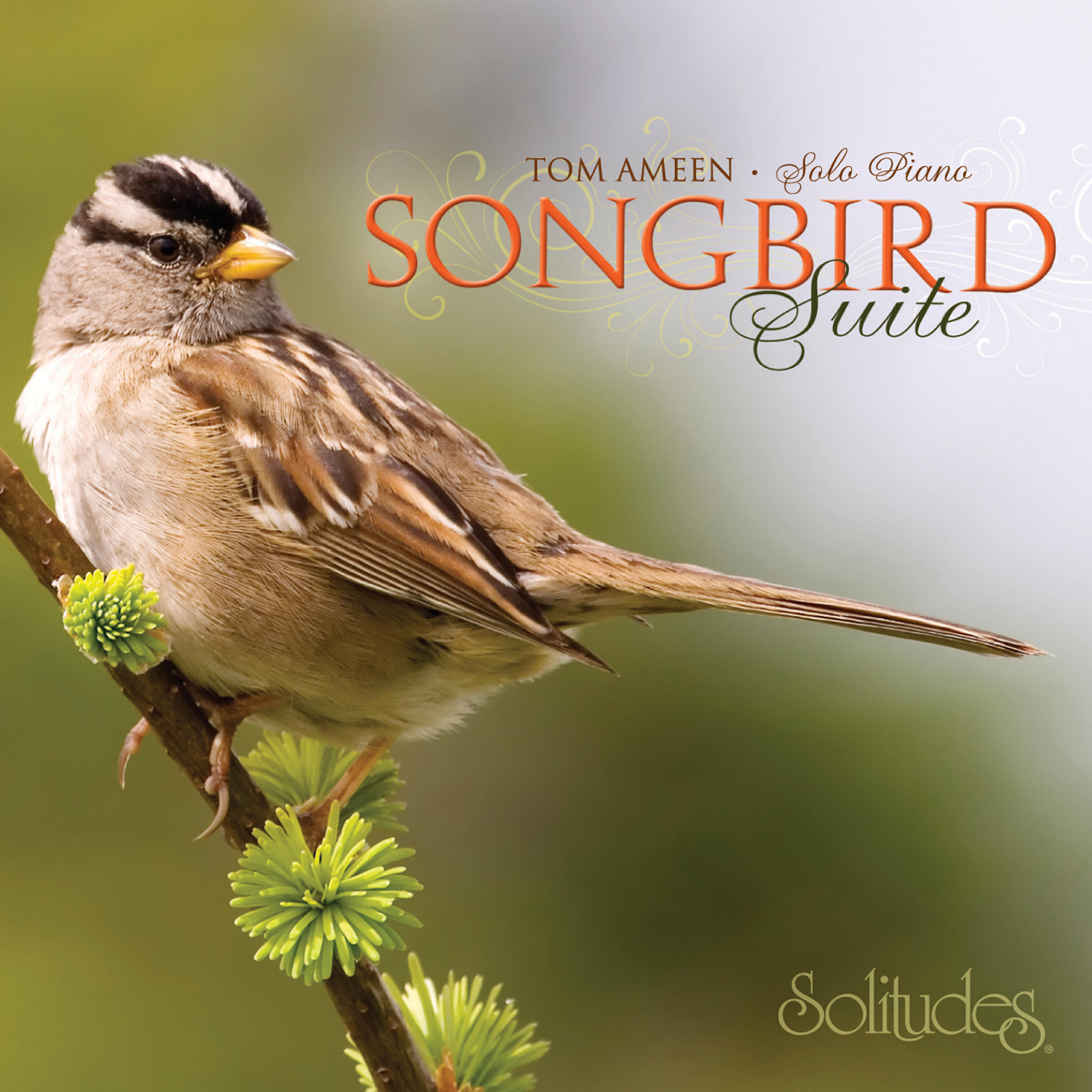 Релиз Songbird Suite
