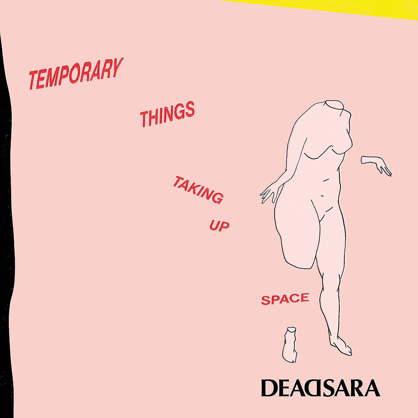 Релиз Temporary Things Taking Up Space