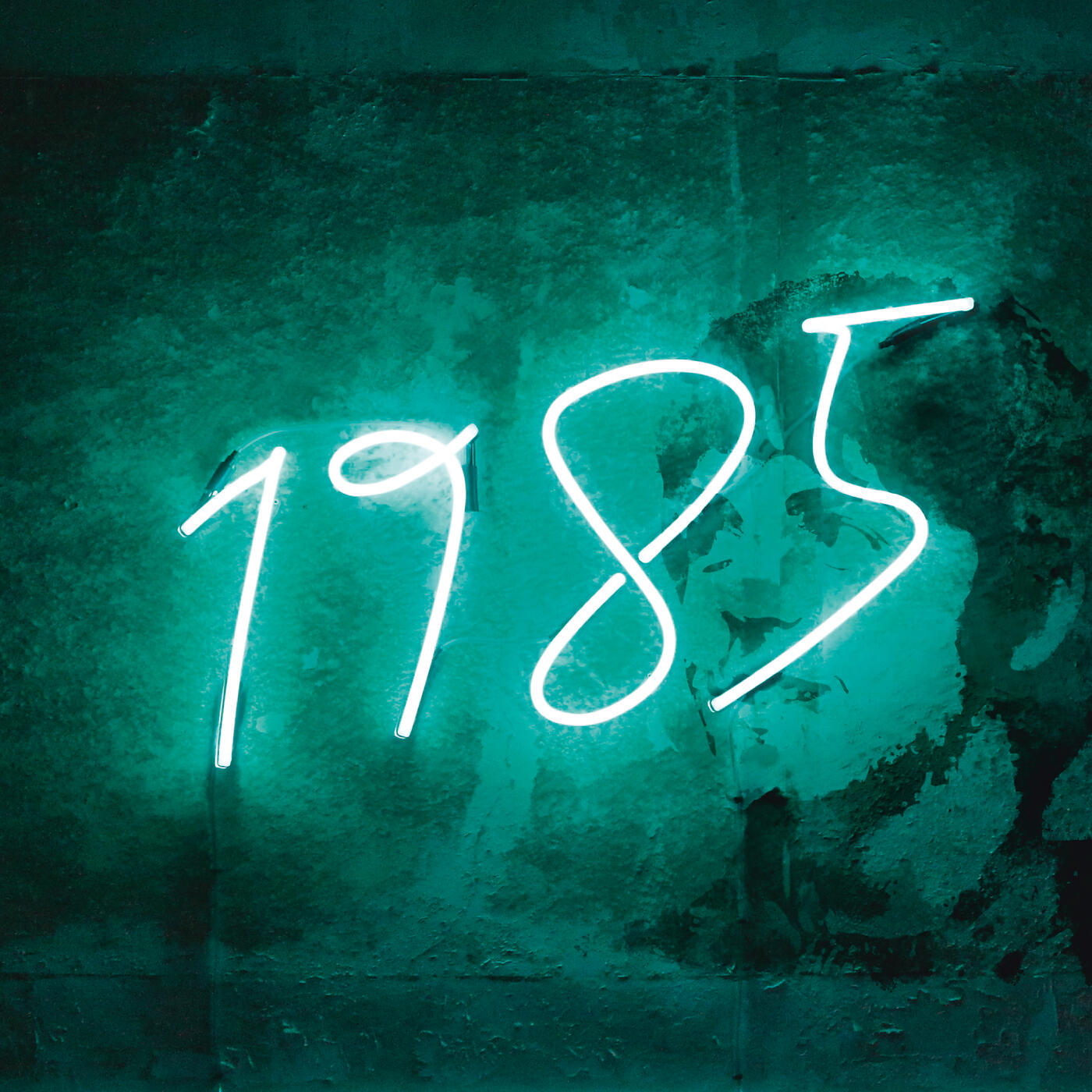 Скачать песню Paul McCartney, Wings, Timo Maas, James Teej - Nineteen Hundred And Eighty Five (Paul McCartney & Wings Vs. Timo Maas & James Teej) [Radio Edit] бесплатно в MP3 для Android и iOS