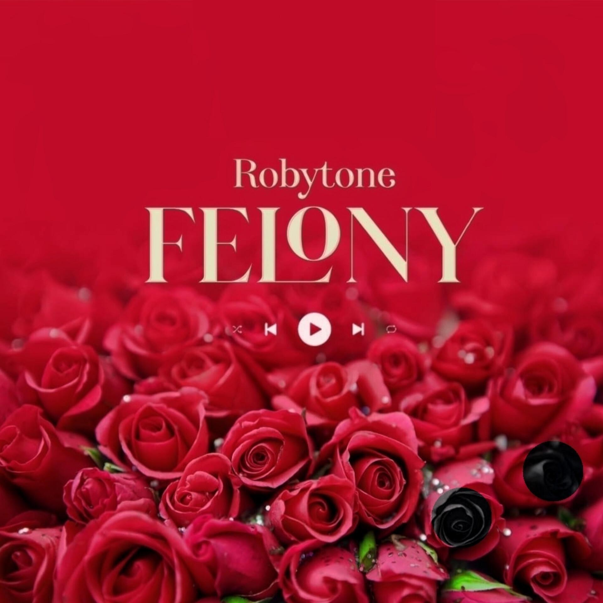 Релиз Felony
