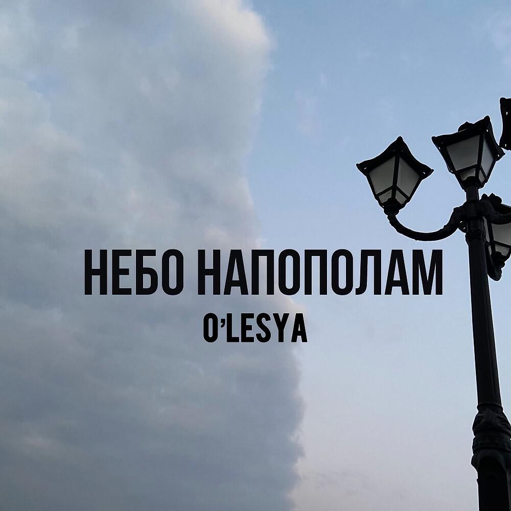 Релиз Небо напополам