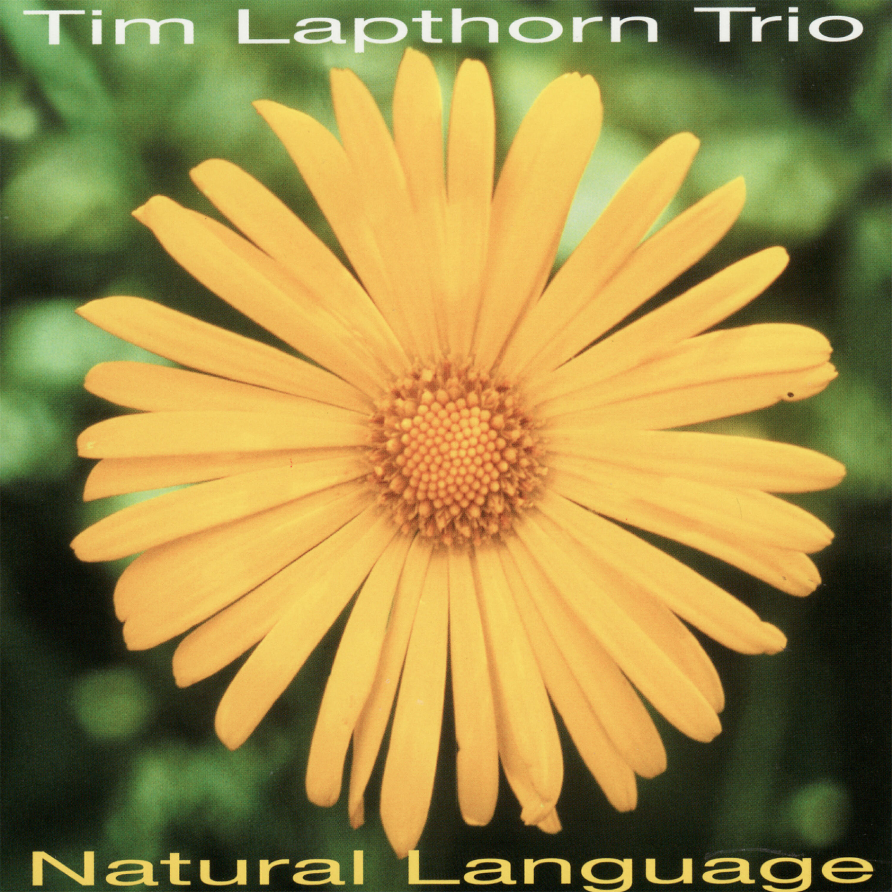 Релиз Natural Language