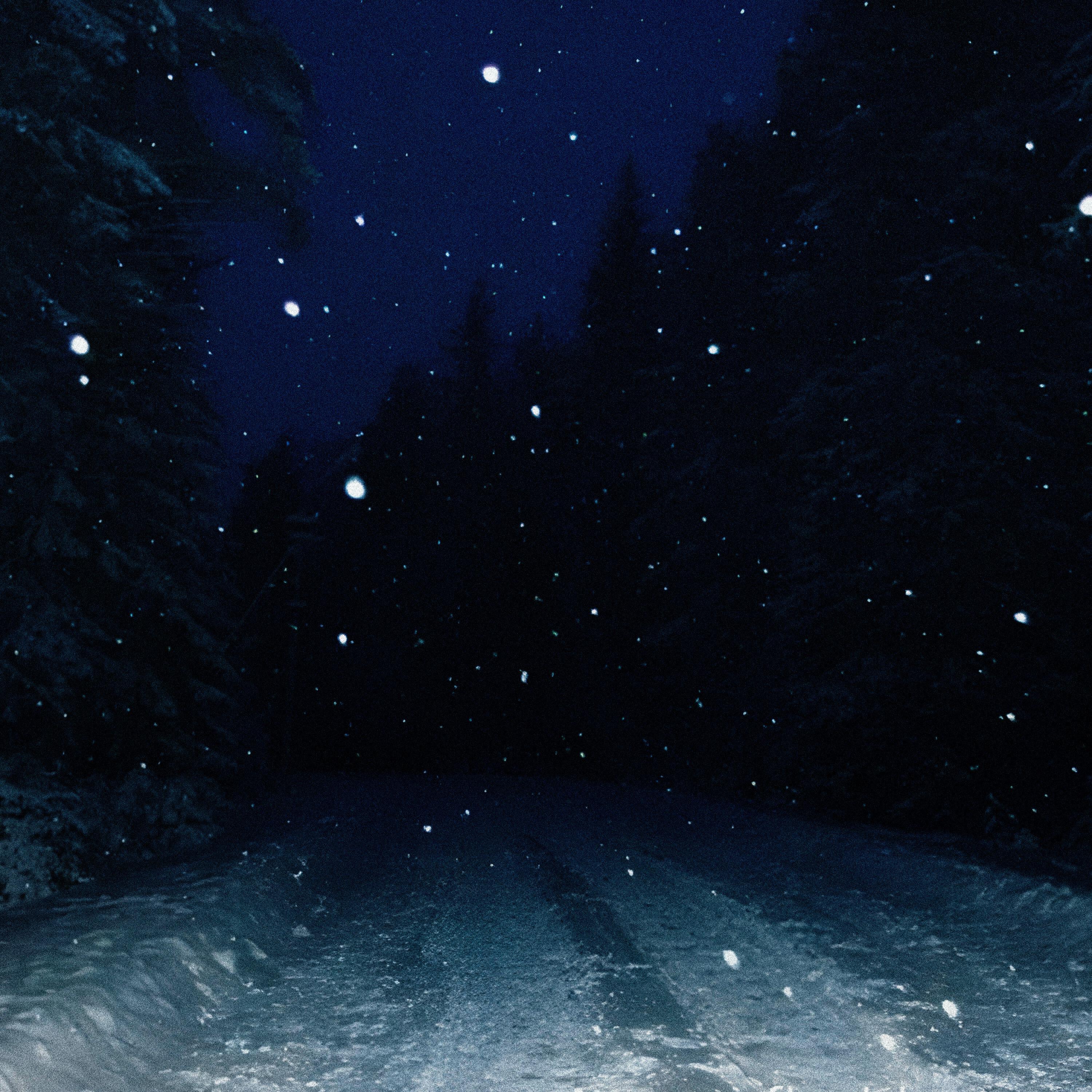 Релиз young arctic winds