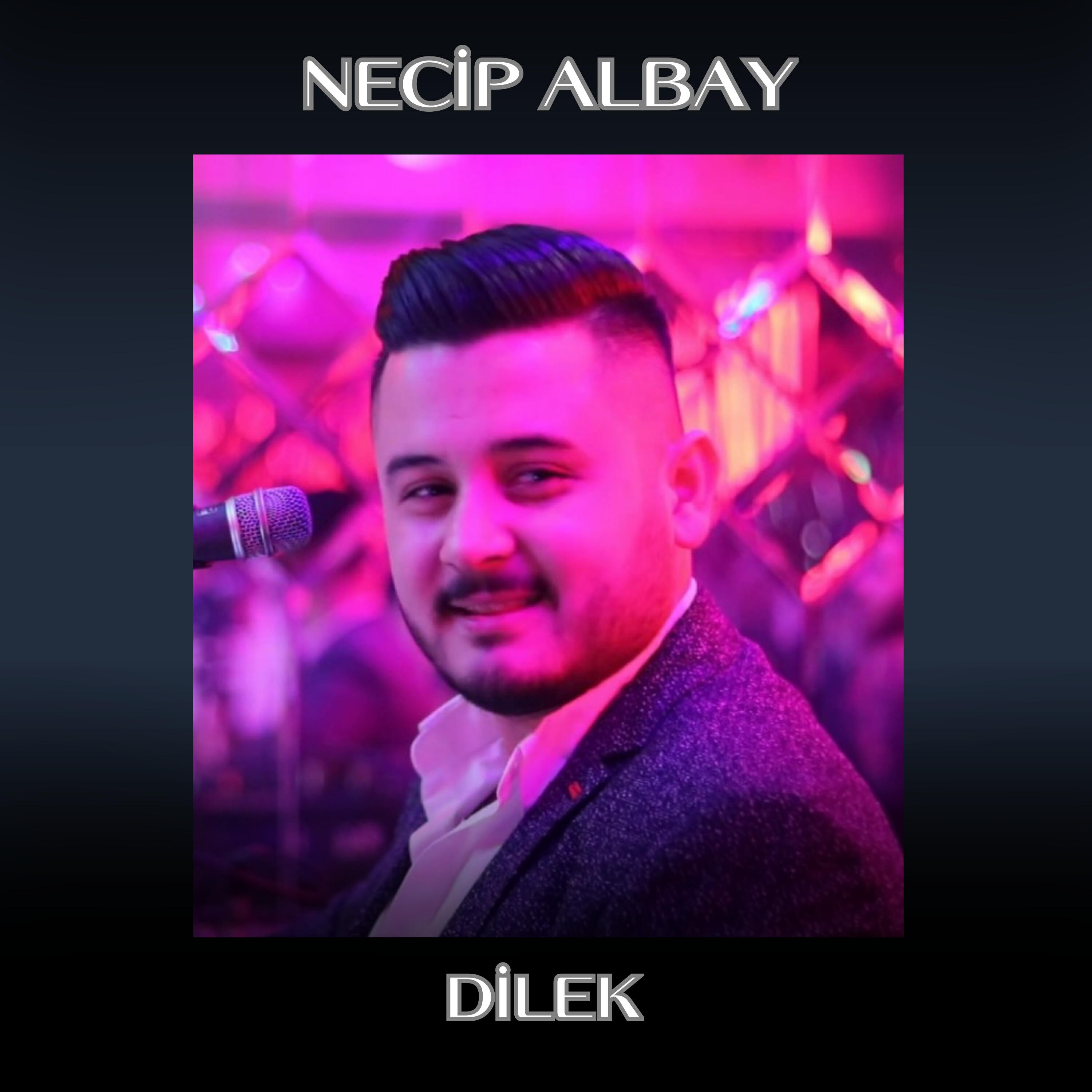 Релиз Dilek