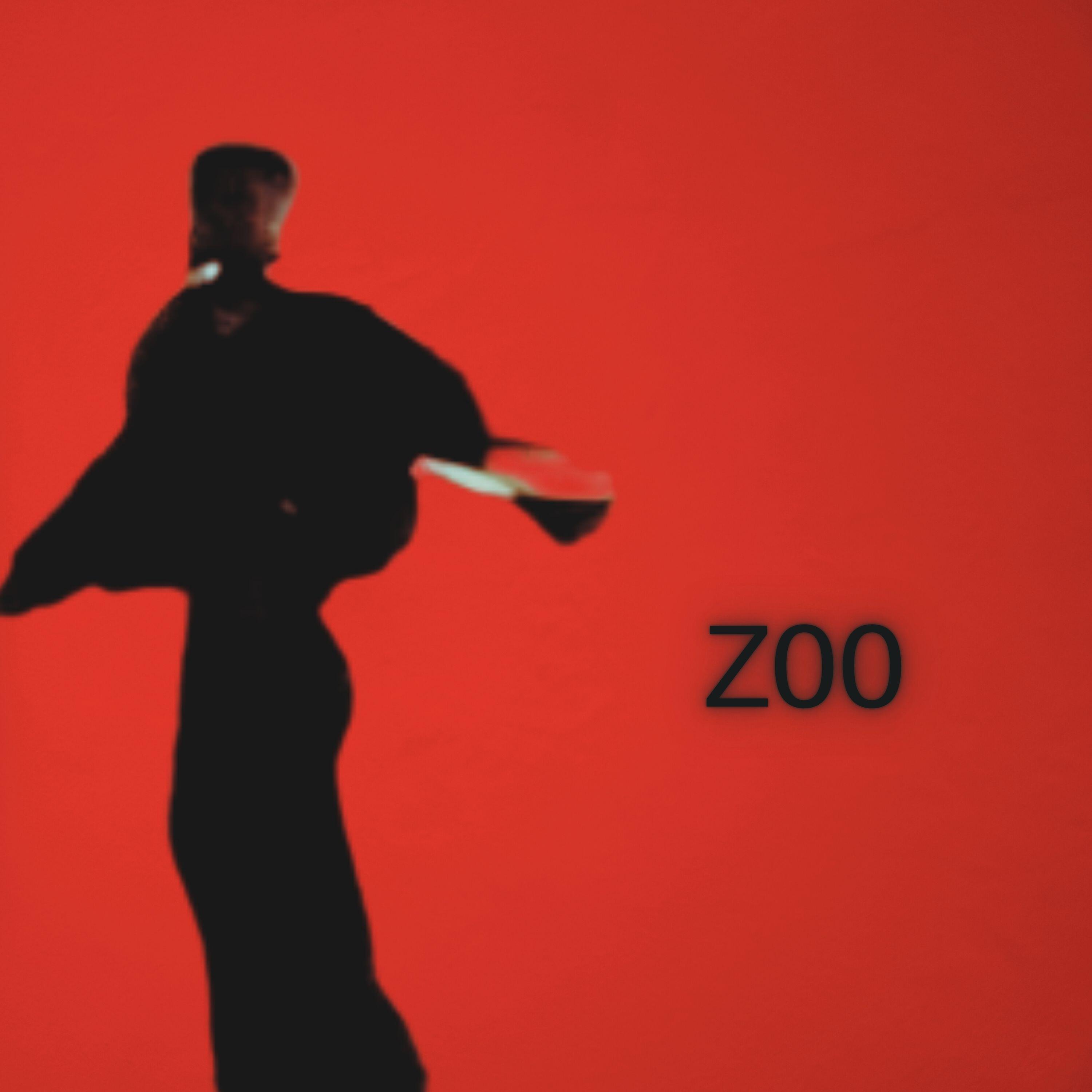 Релиз ZOO