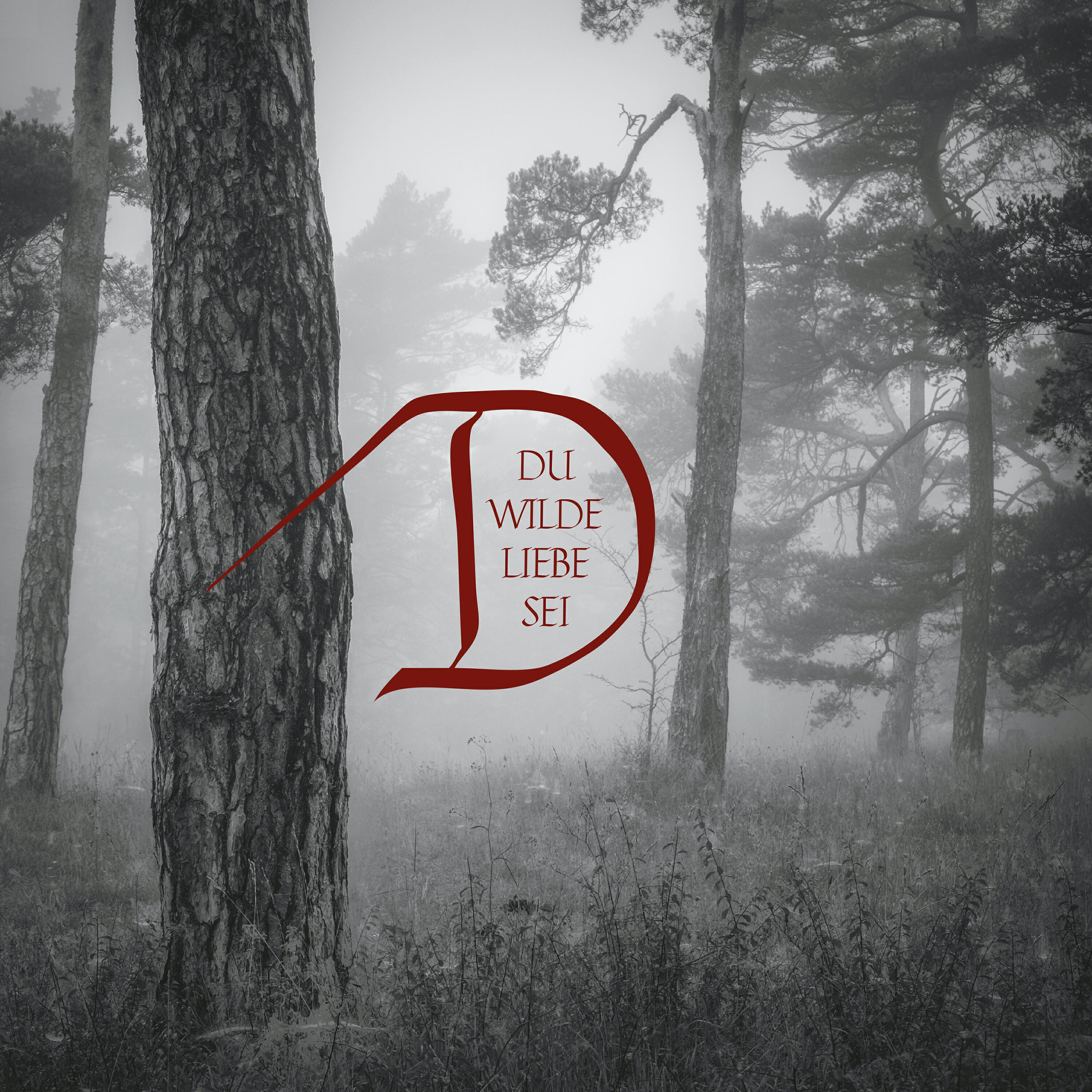 Релиз Du wilde Liebe sei