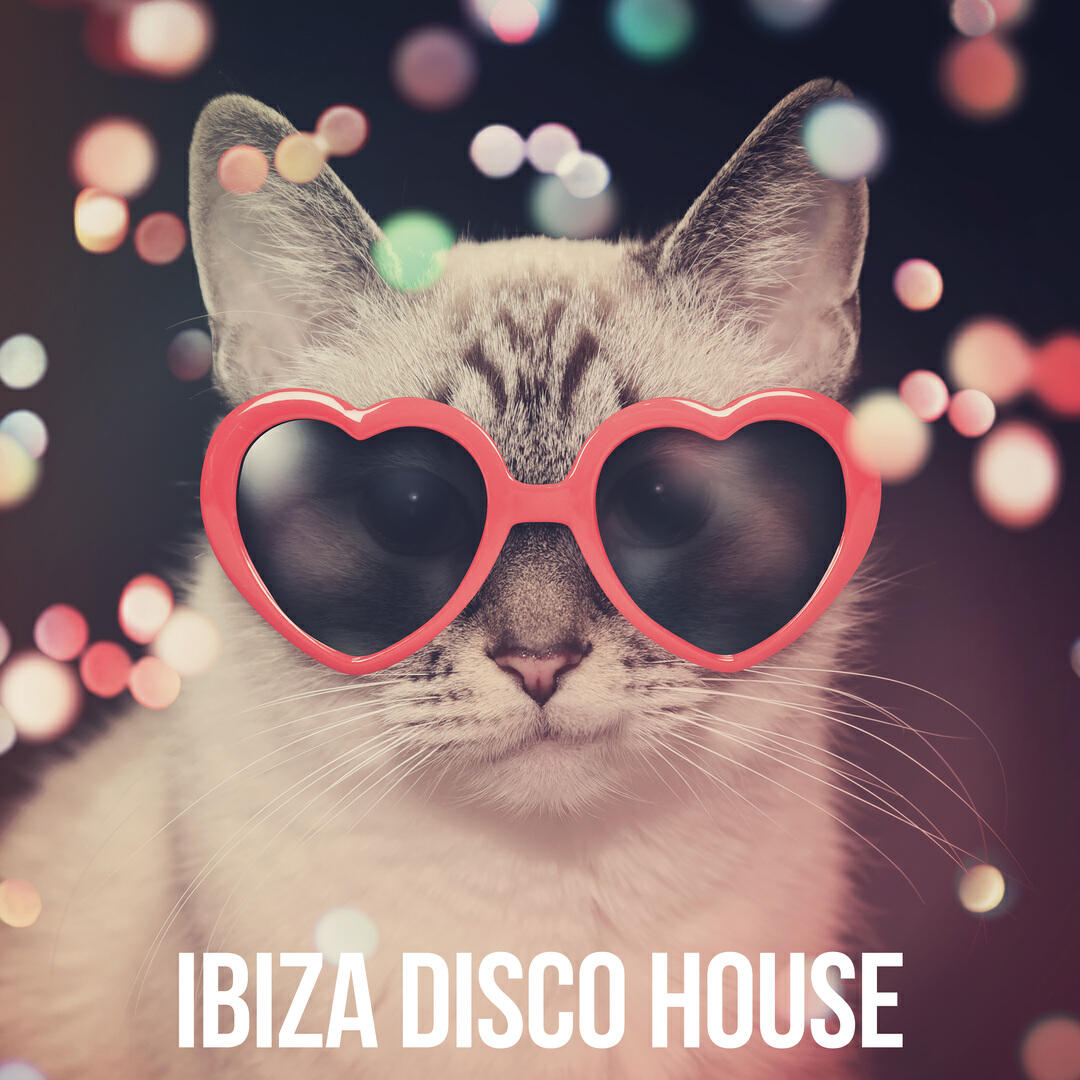 Релиз Ibiza Disco House