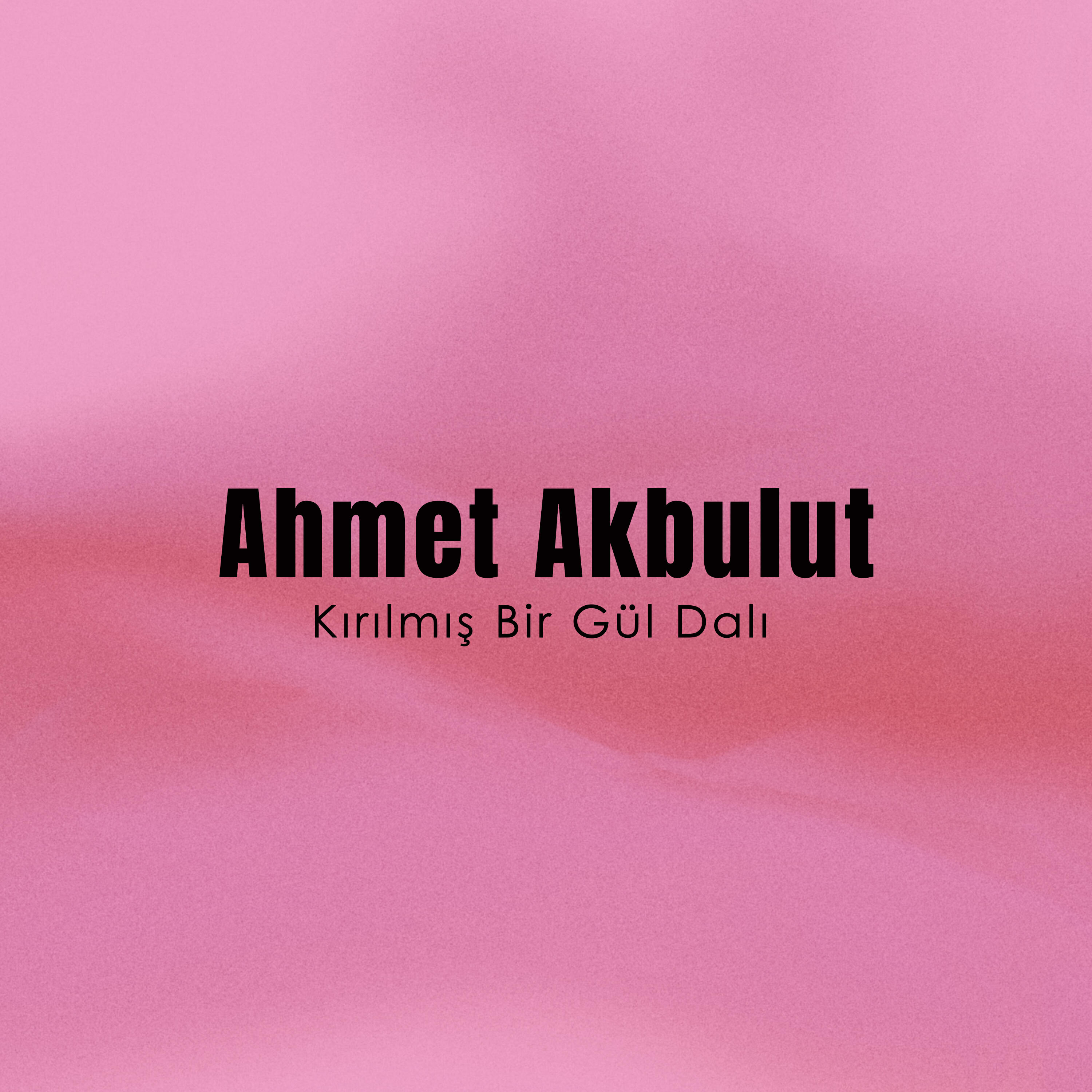 Релиз Kırılmış Bir Gül Dalı