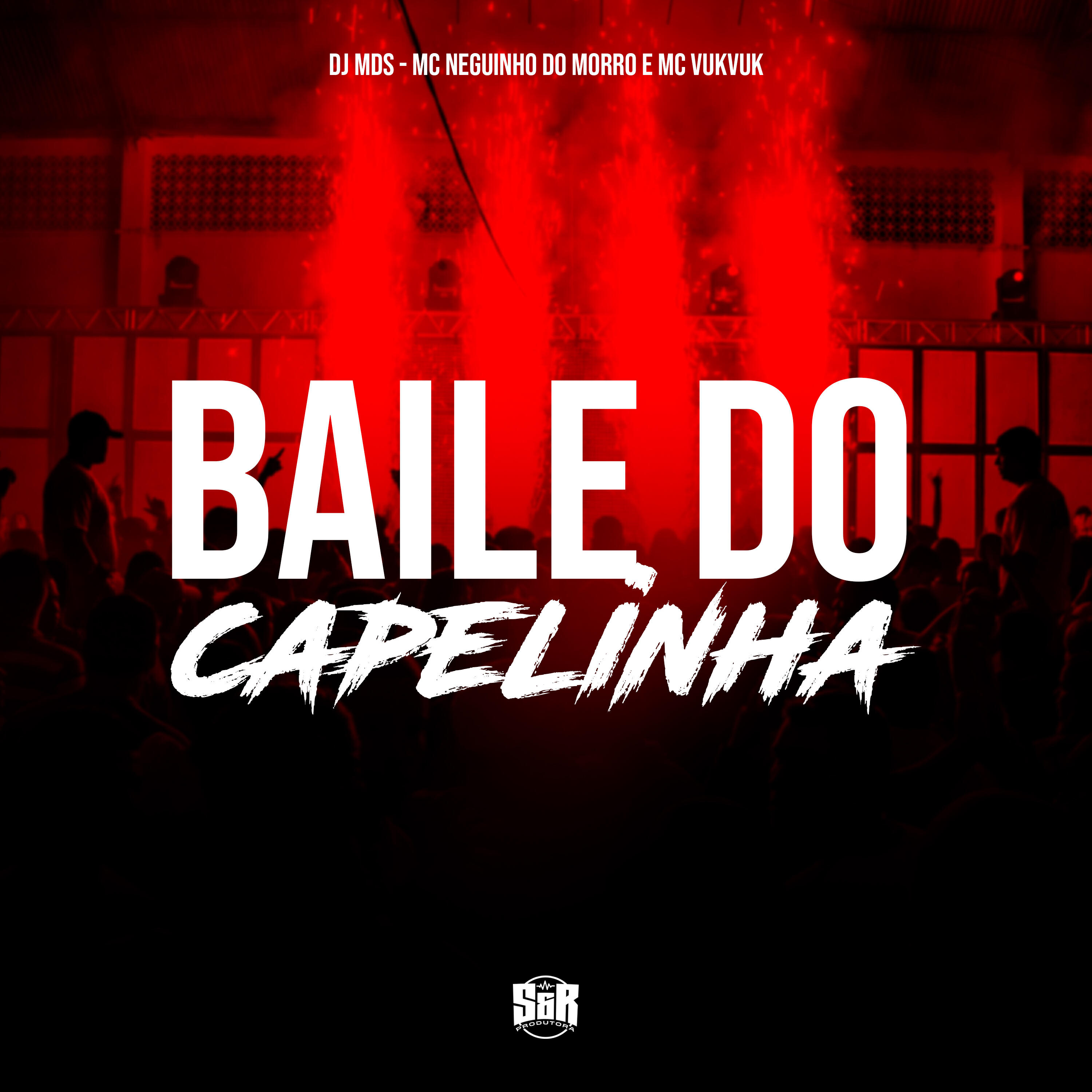 Скачать песню DJ MDS, Mc Neguinho do Morro, MC Vuk Vuk - Baile do Capelinha бесплатно в MP3 для Android и iOS