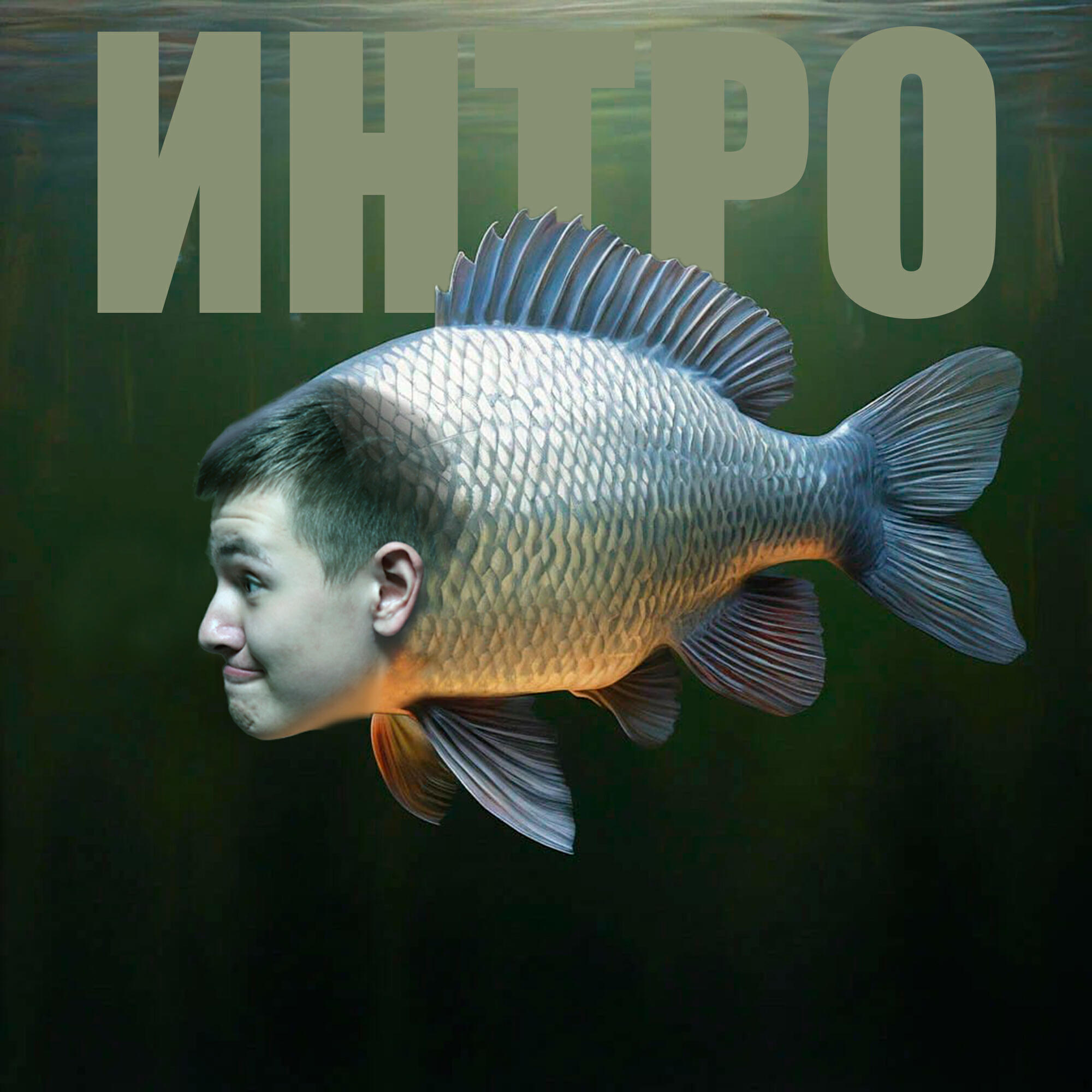Релиз Рыбное интро