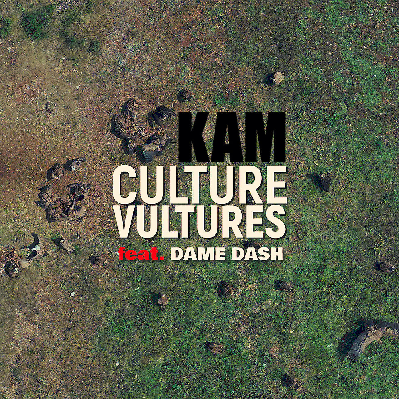Релиз Culture Vultures