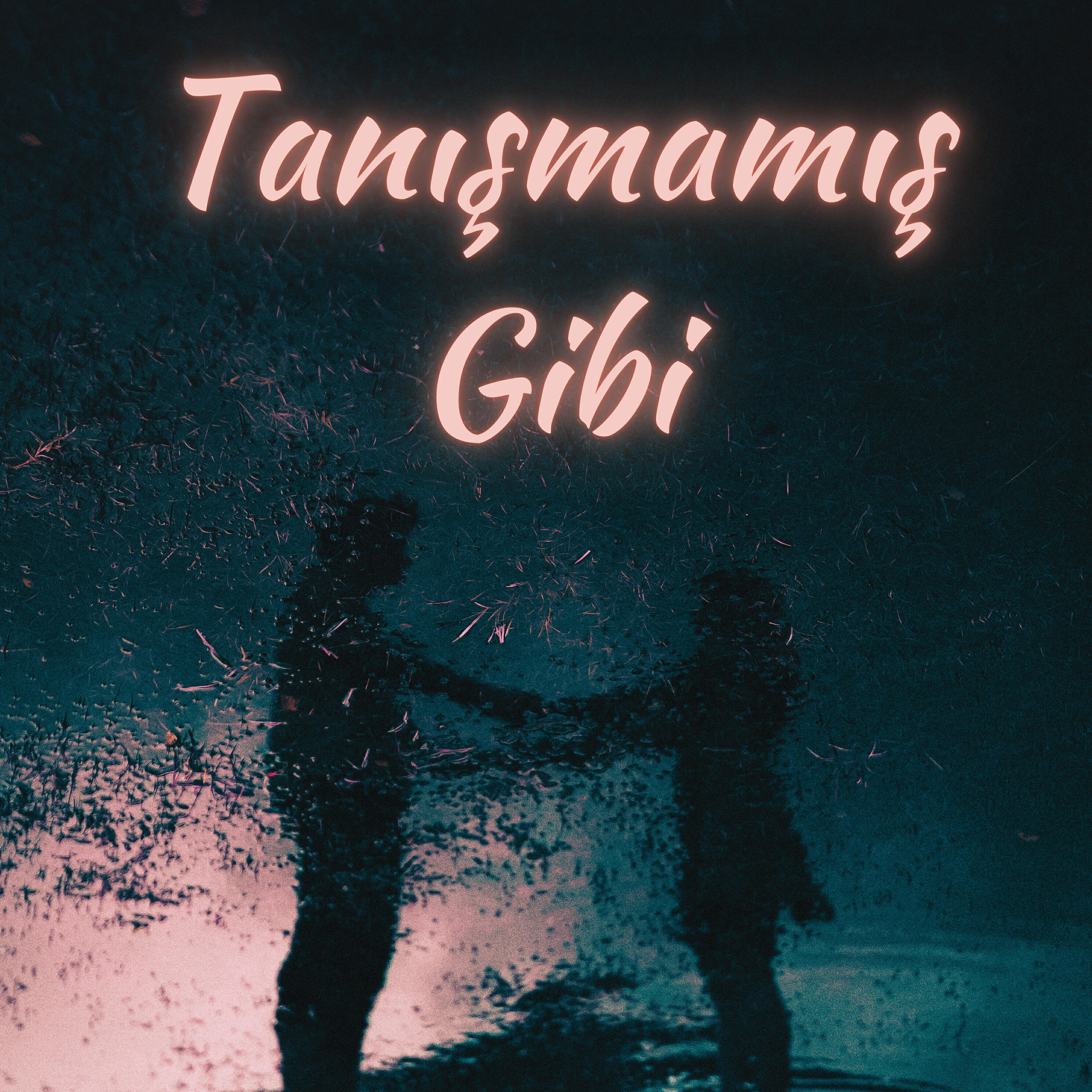 Постер альбома Tanışmamış Gibi