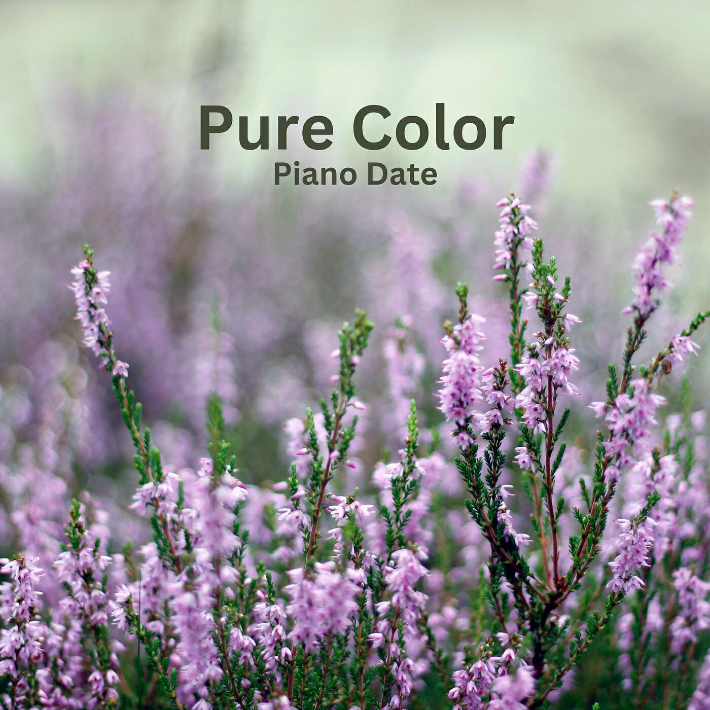 Релиз Pure Color