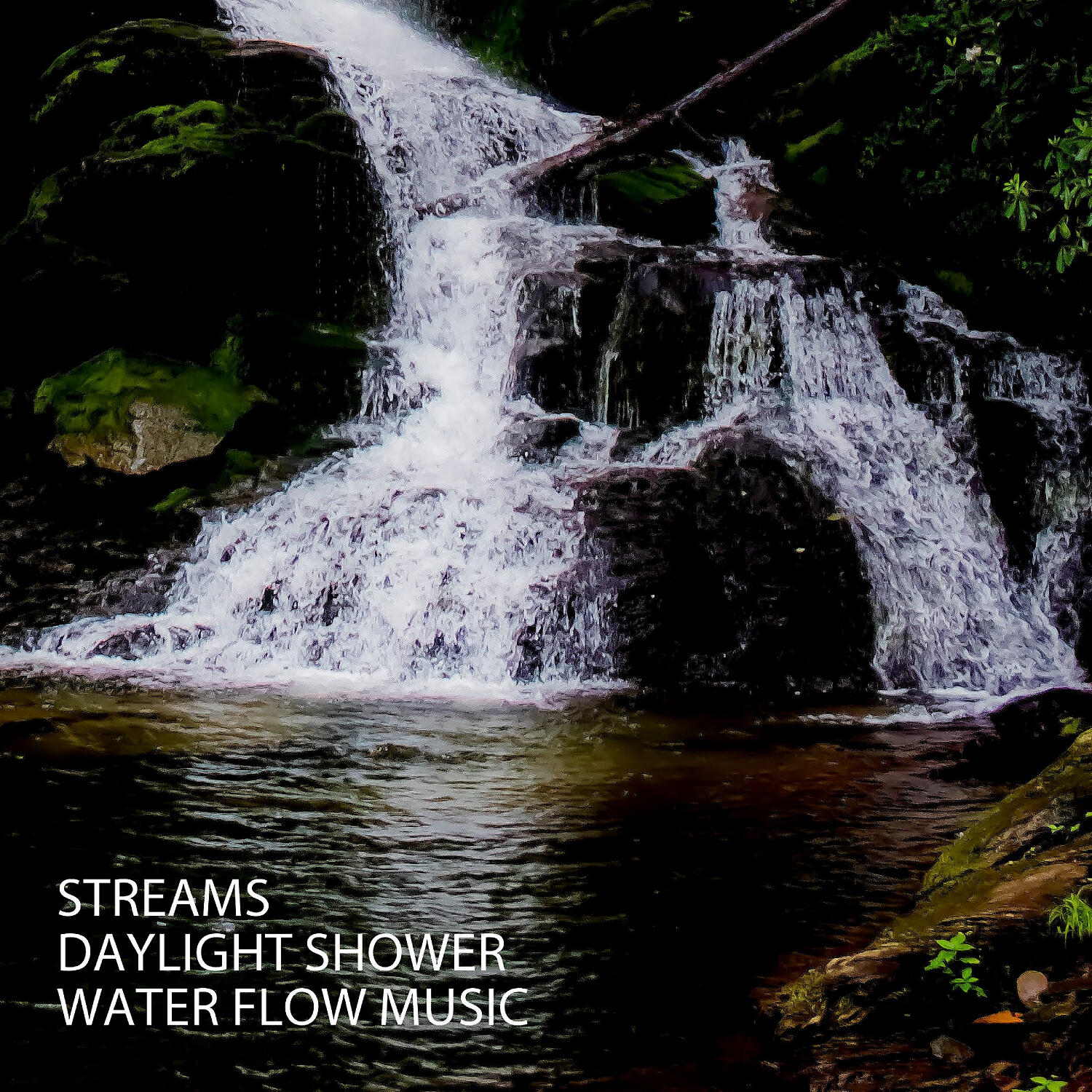 Sleeping Music & Calm Music & Focus - Jangle Music