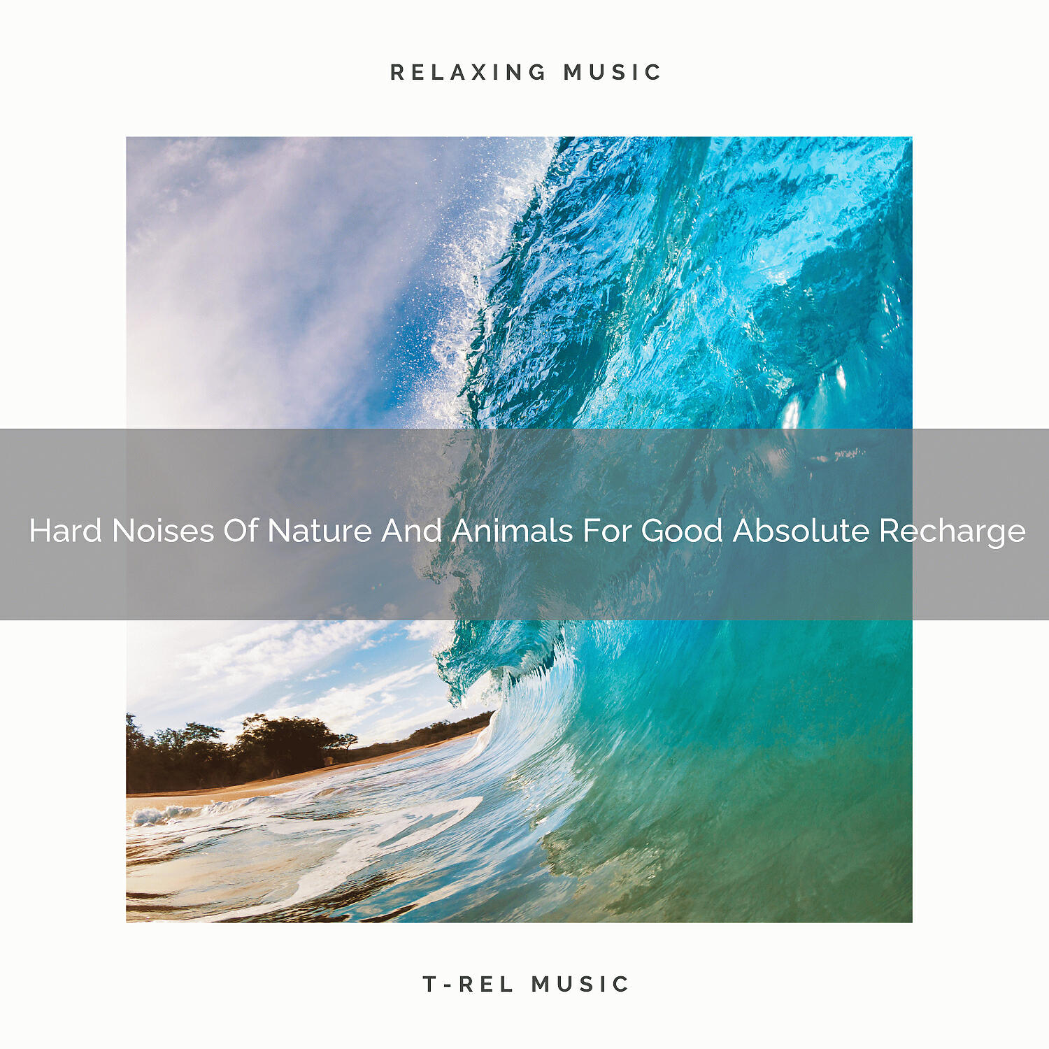 Релиз Hard Noises Of Nature And Animals For Good Absolute Recharge