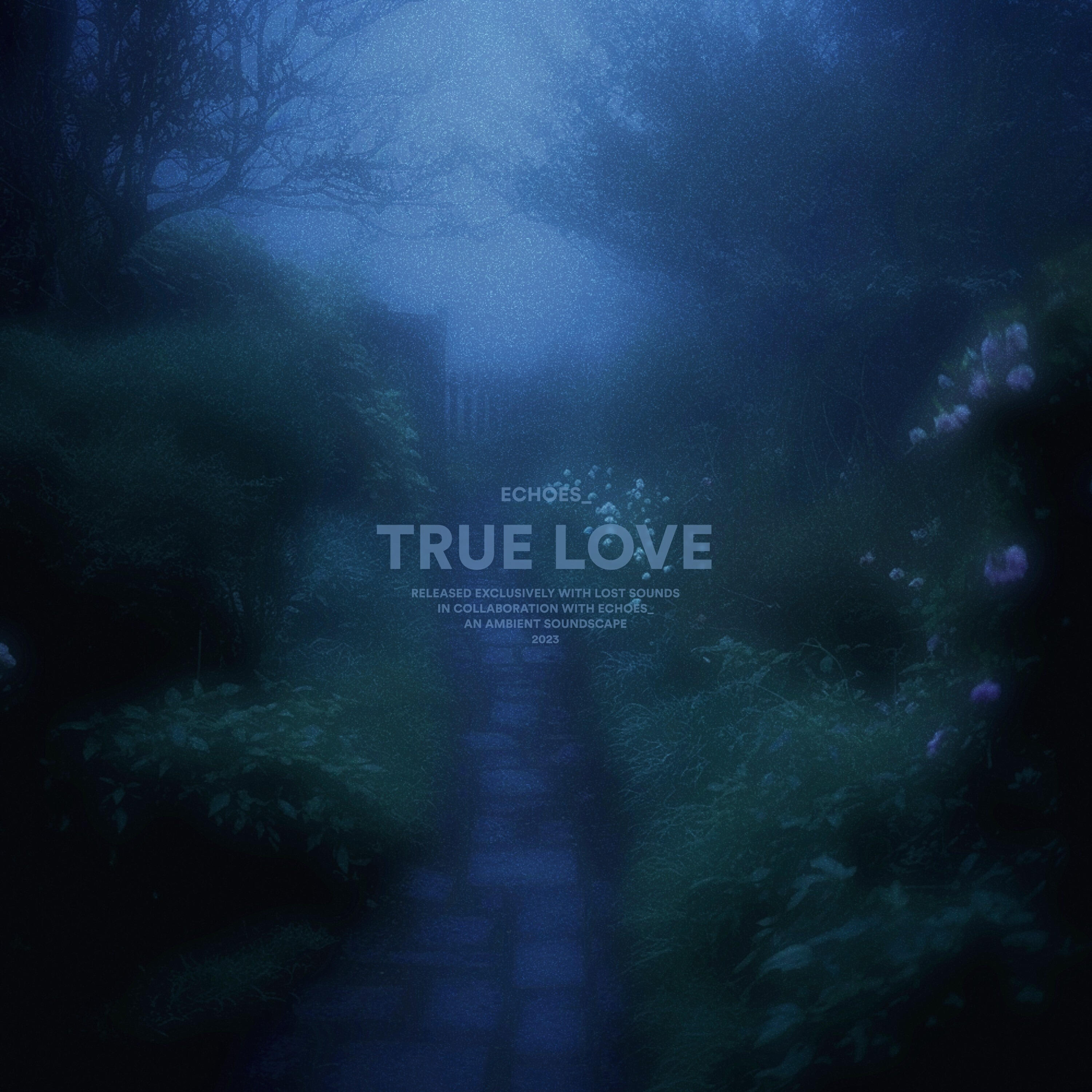 Релиз true love