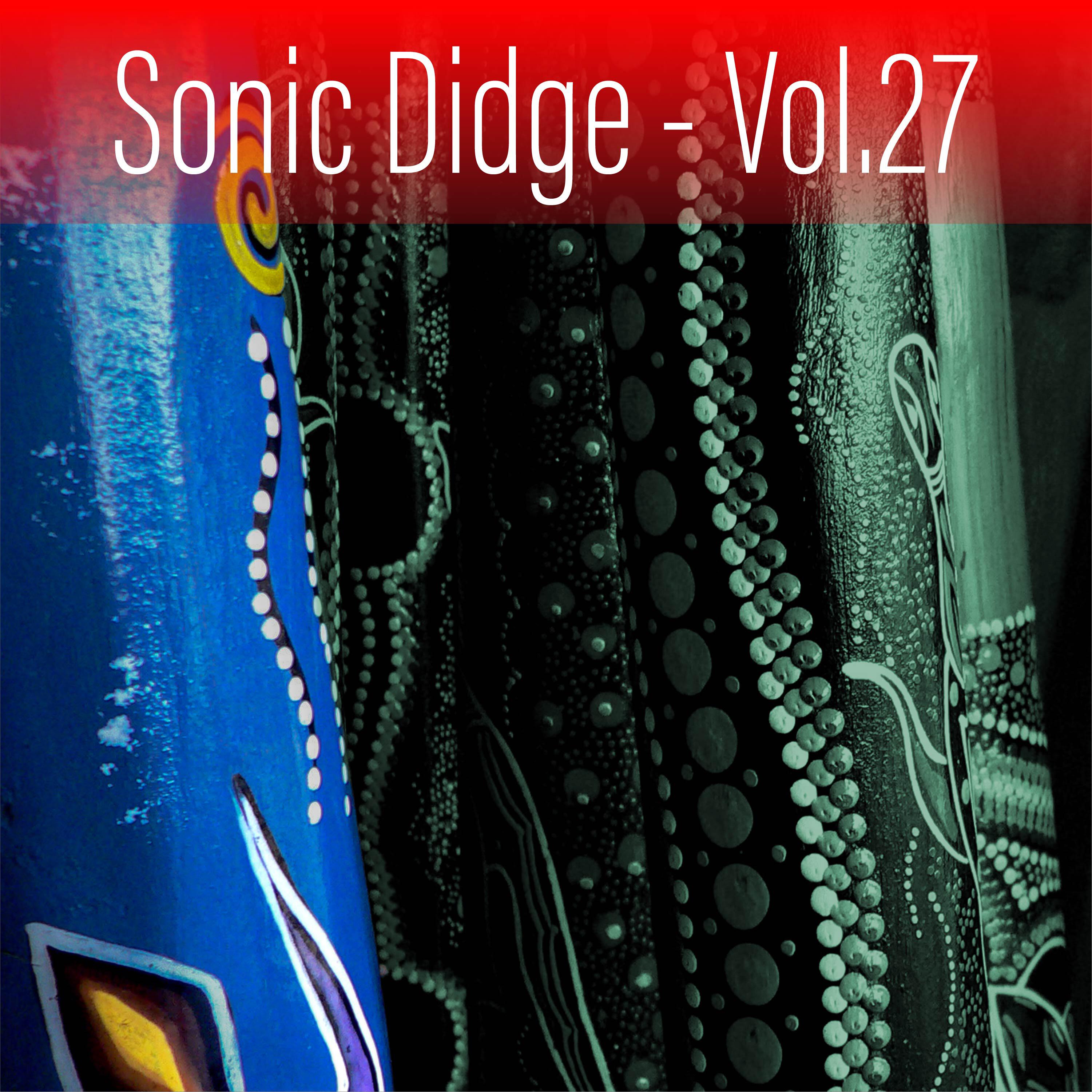 Релиз Sonic Didge, Vol. 27