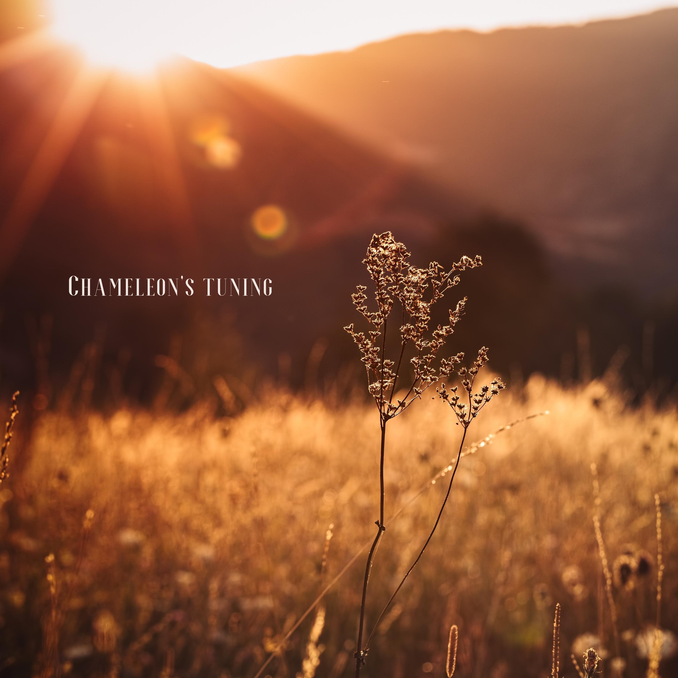 Релиз Chameleon’s tuning