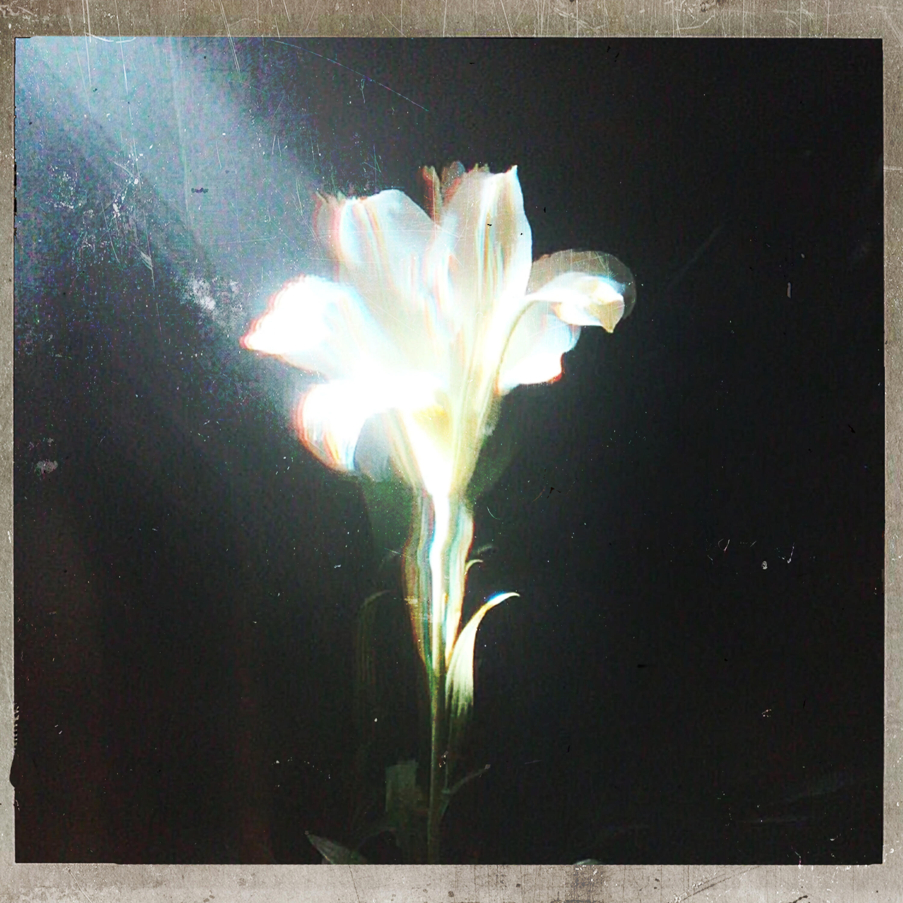 Релиз Light That Leads Me (with Bebe Rexha)