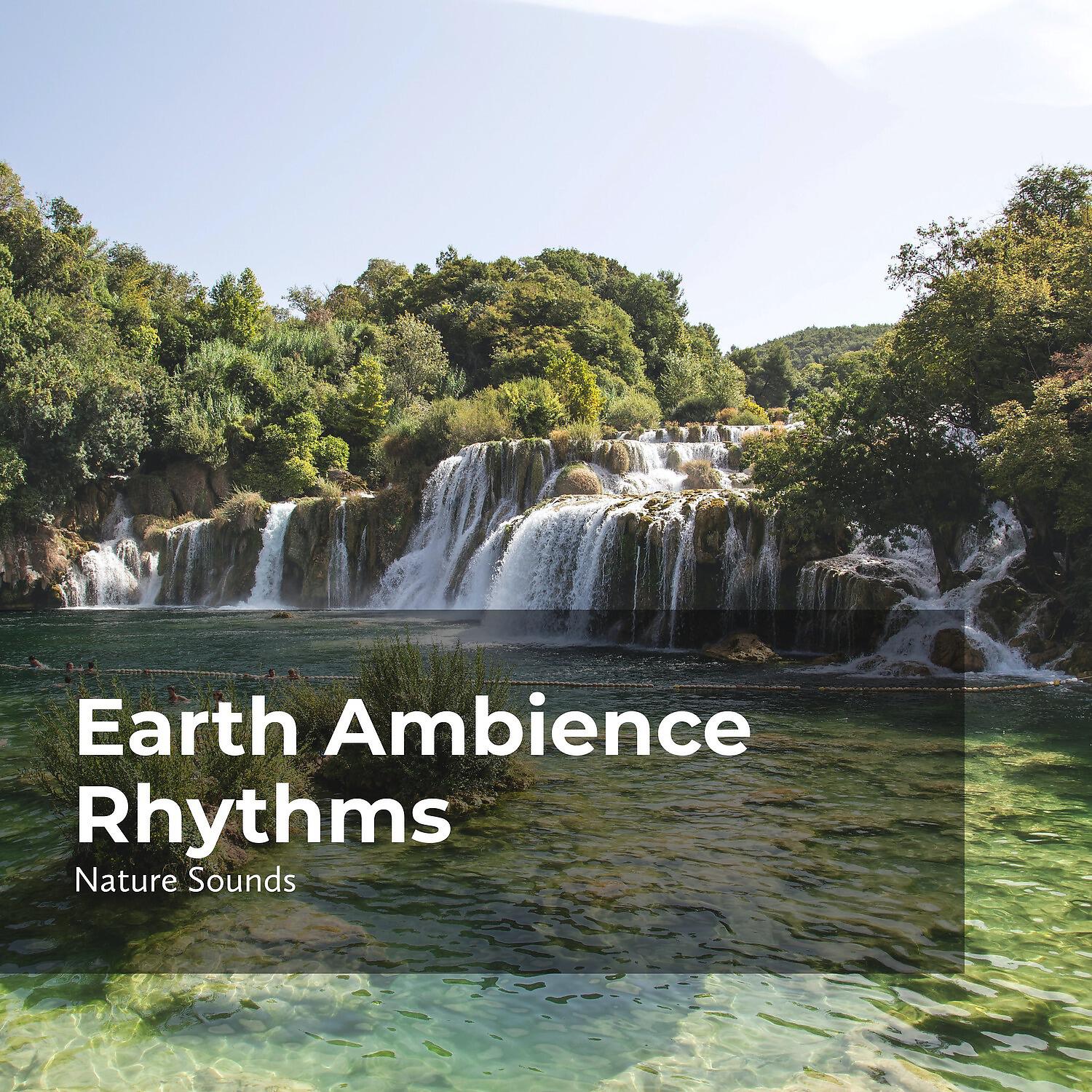 Релиз Earth Ambience Rhythms