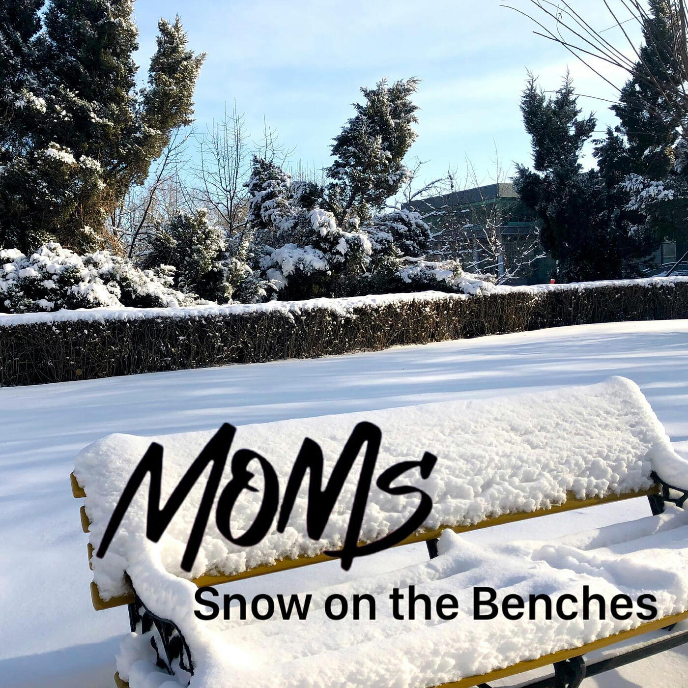 Релиз Snow on the Benches