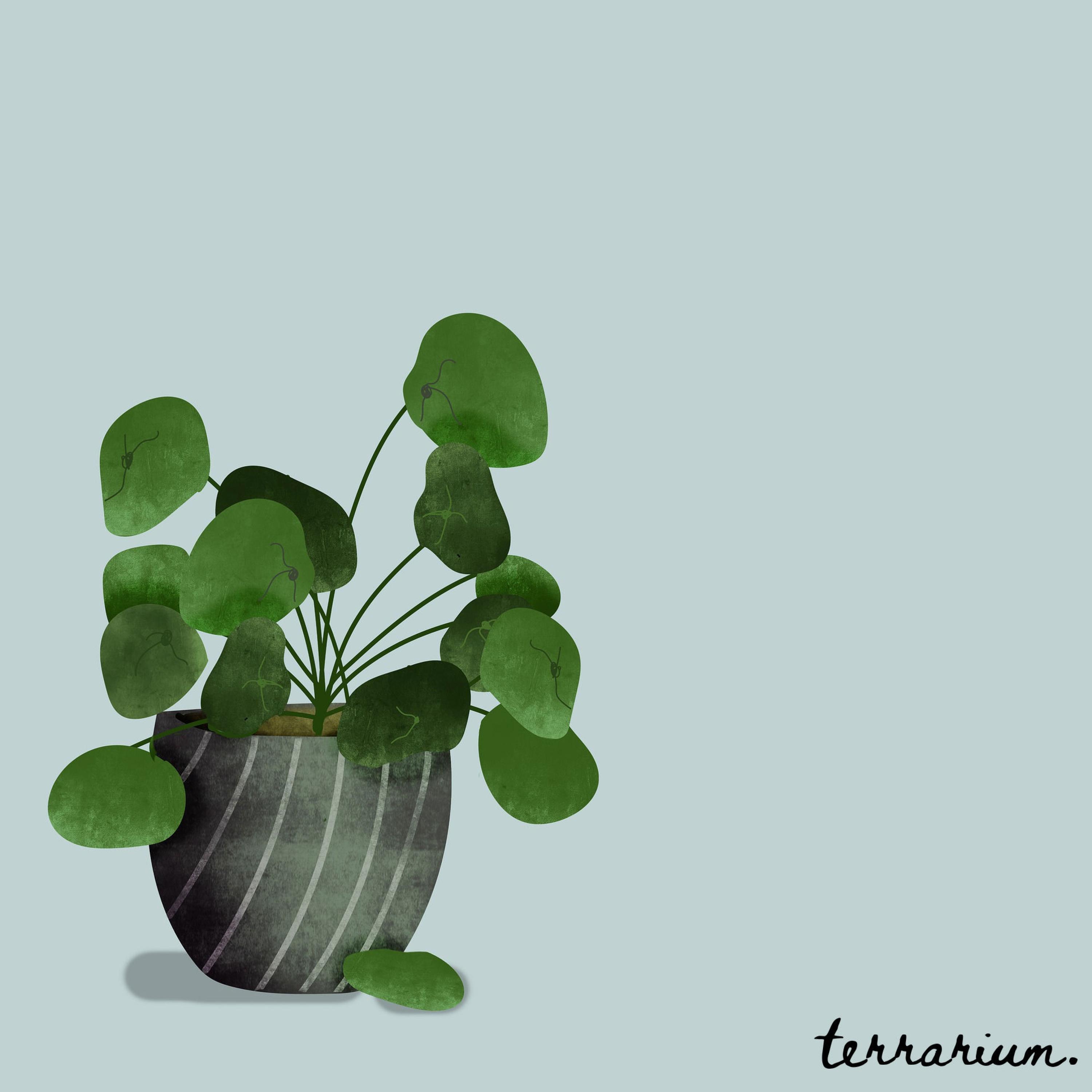 Релиз nurtured