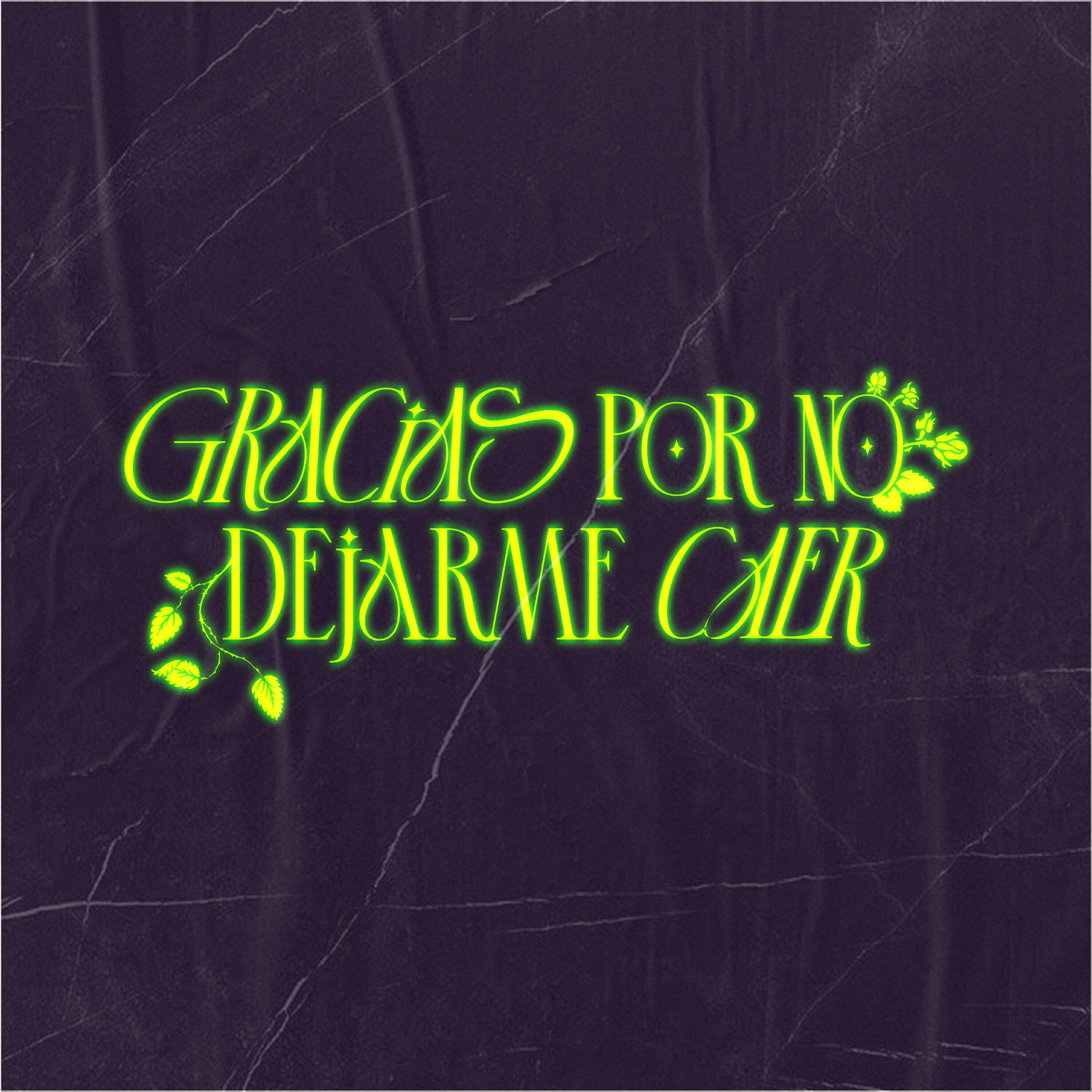 Релиз Gracias por No Dejarme Caer
