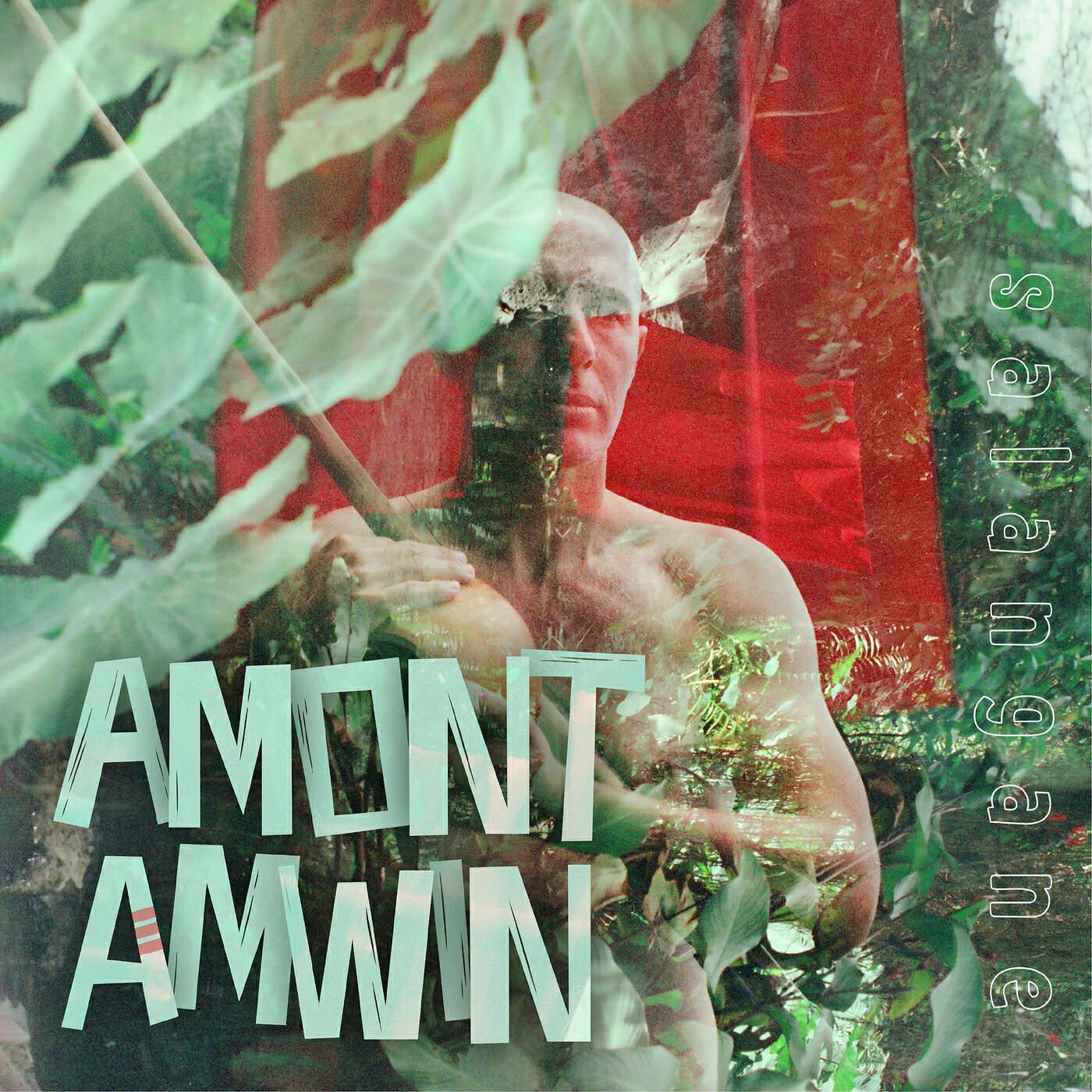 Релиз AMONT AMWIN