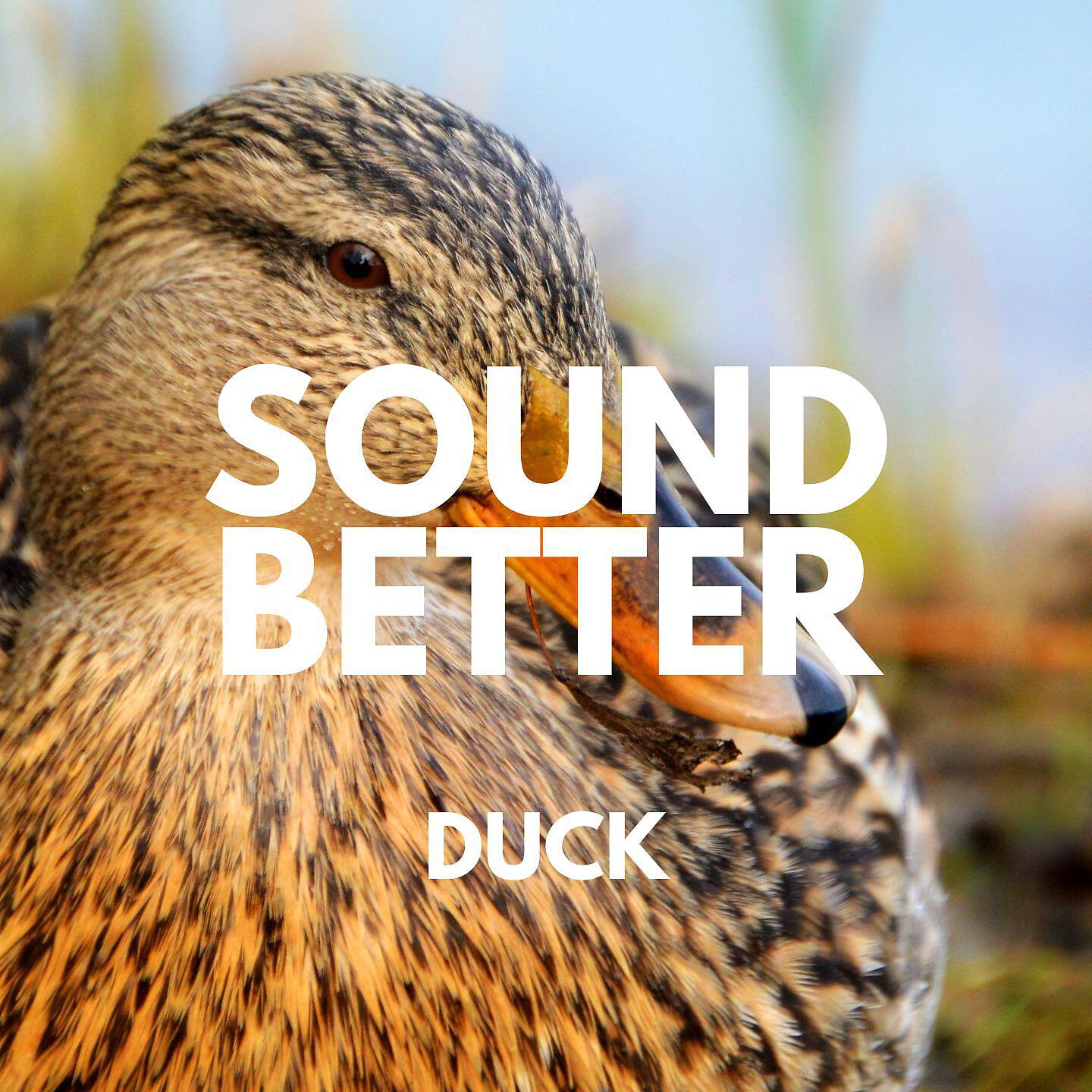 Релиз Duck