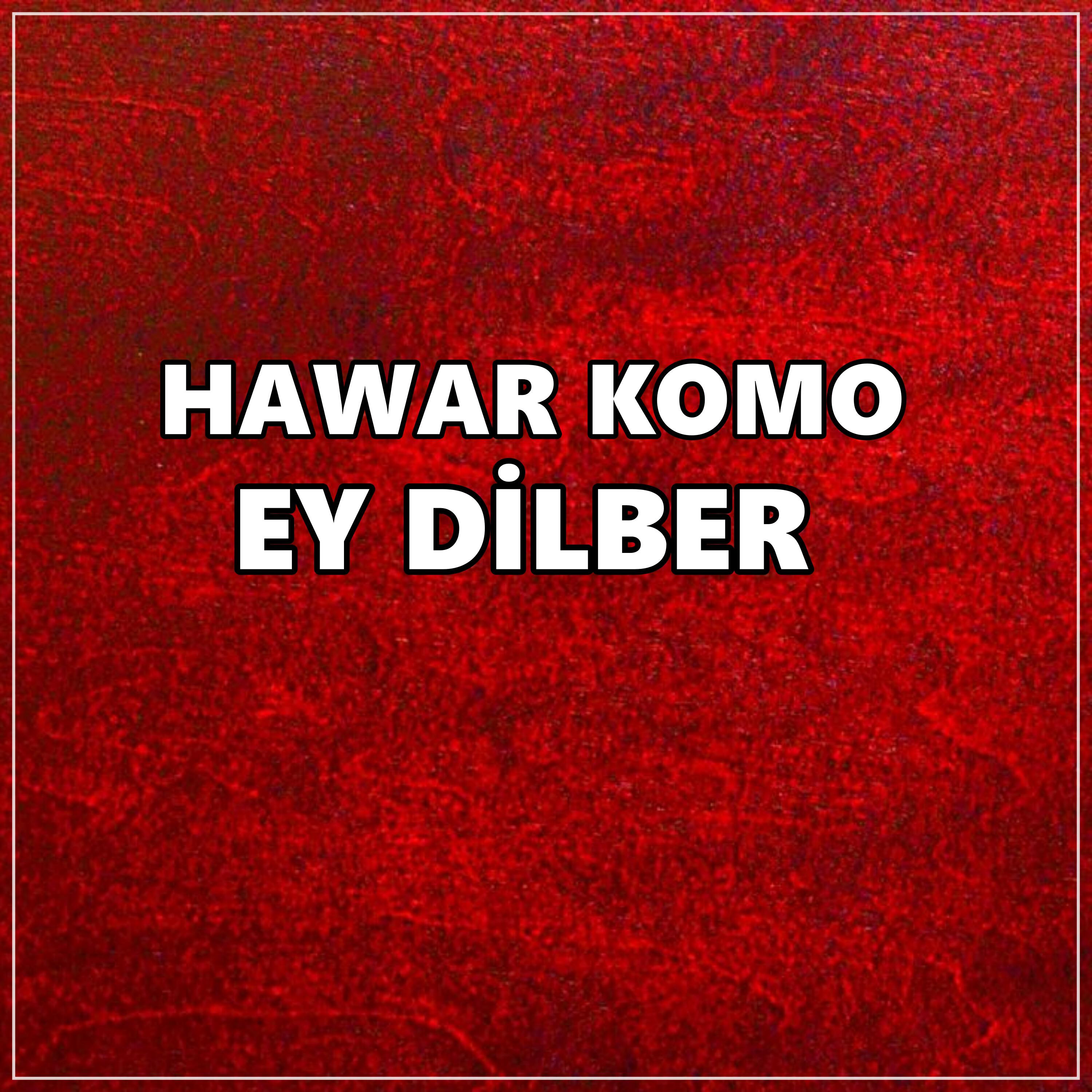 Релиз EY DİLBER