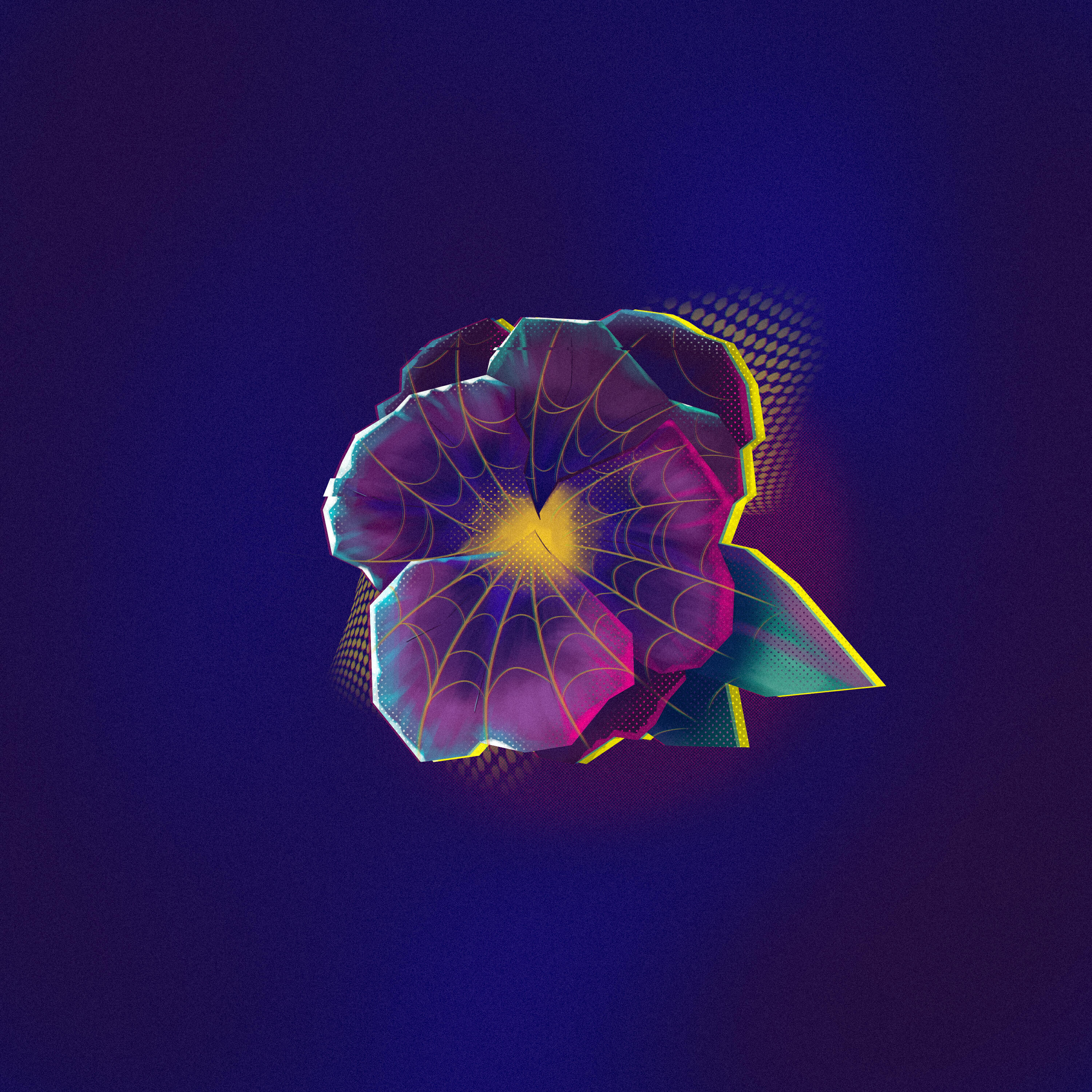 Релиз Violet