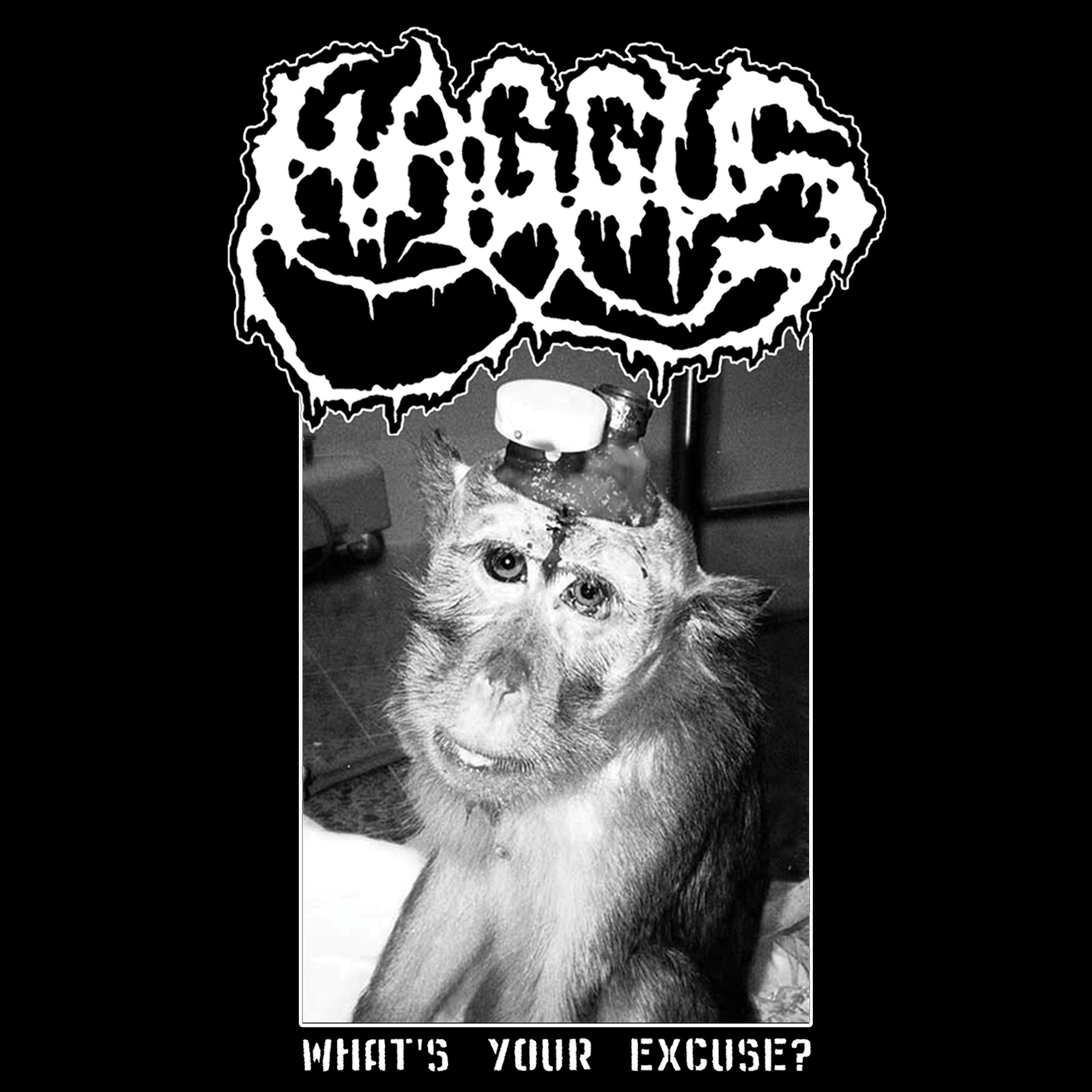 Релиз What's Your Excuse?