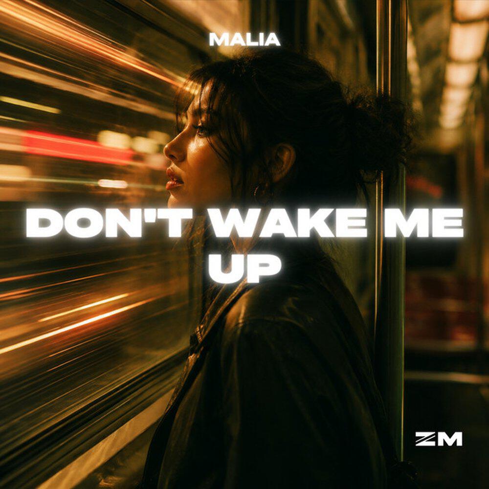 Релиз Don't Wake Me Up